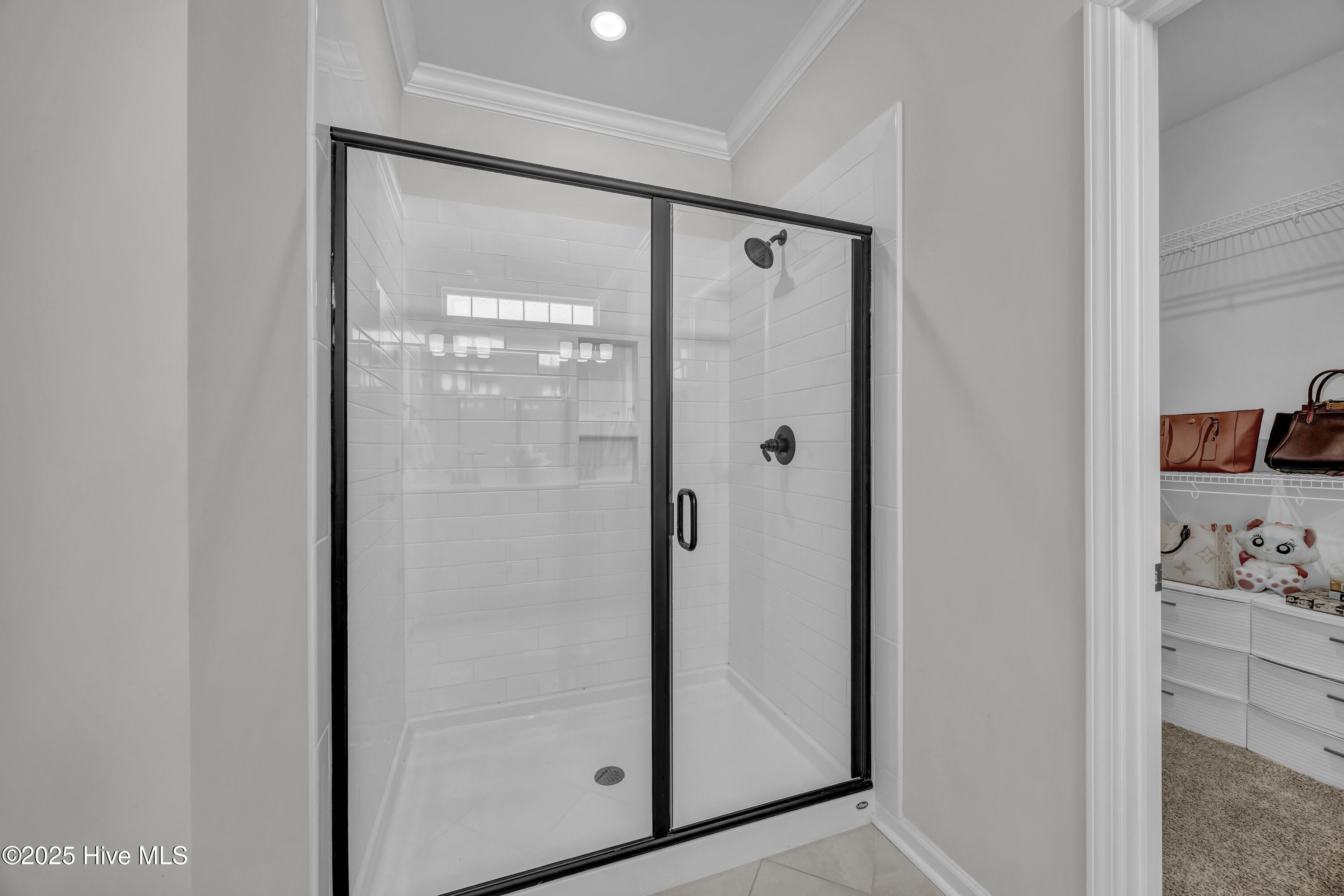 100532723 | Photo 15