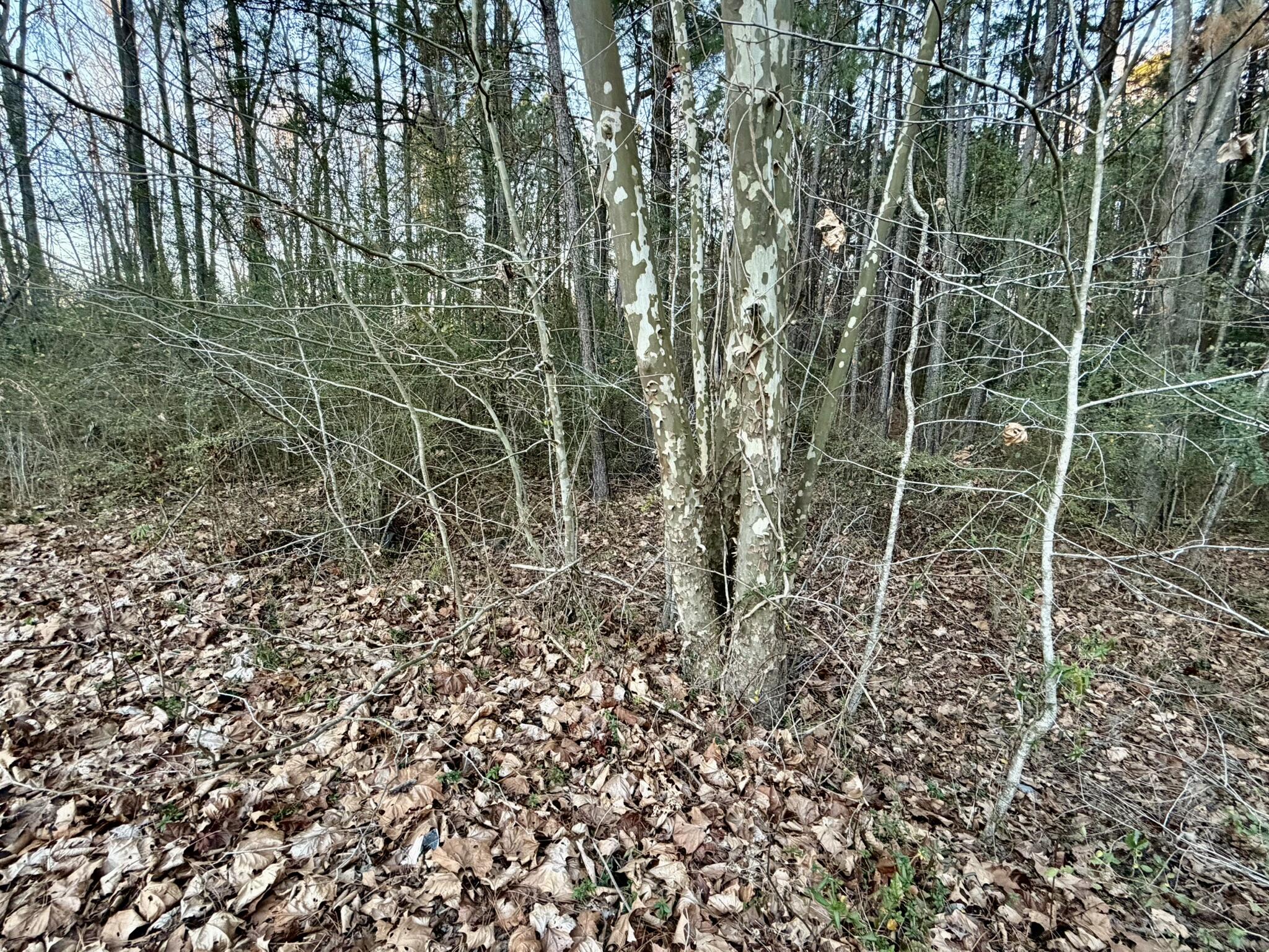 3619,3627, SE Bethany Court, Dearing, GA, 30808