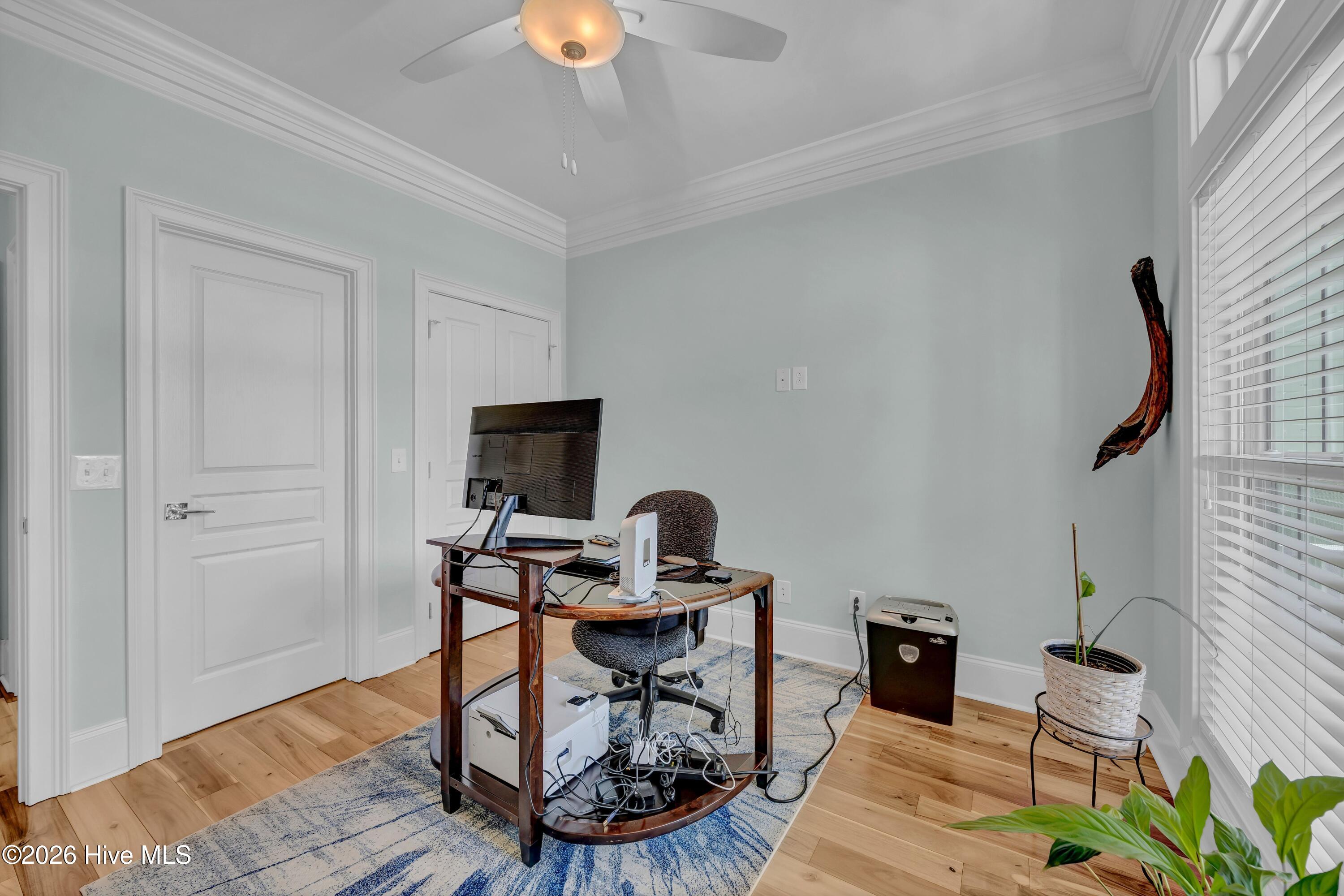 100569369 | Photo 38