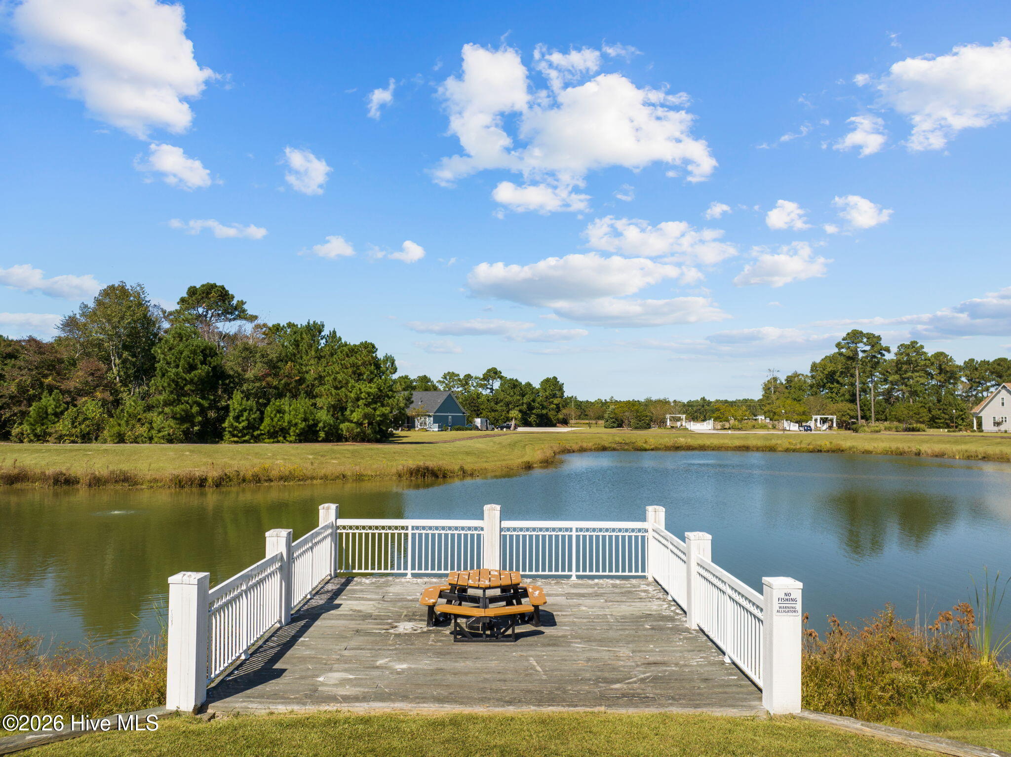 100558529 | Photo 21