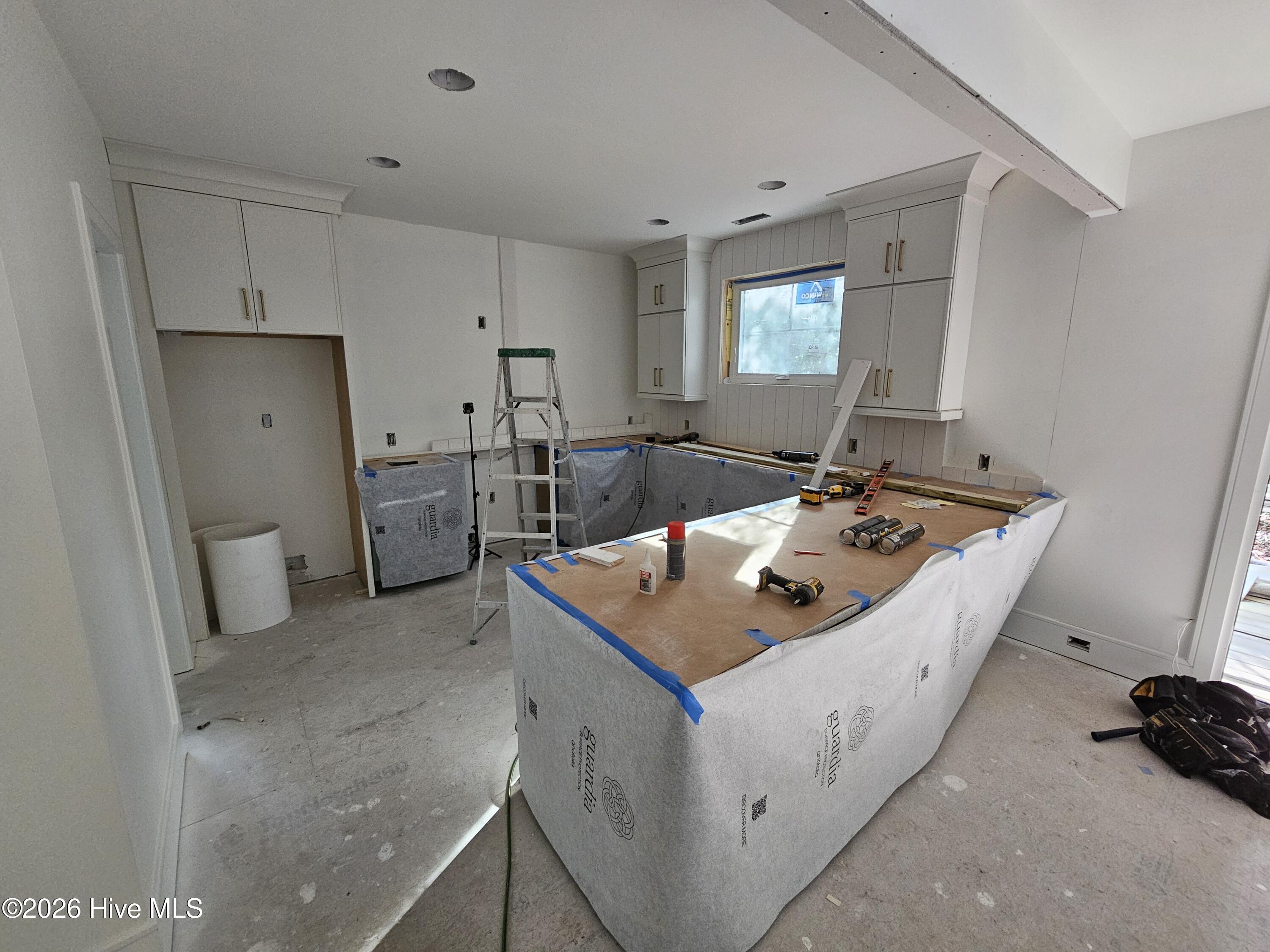 100527849 | Photo 16