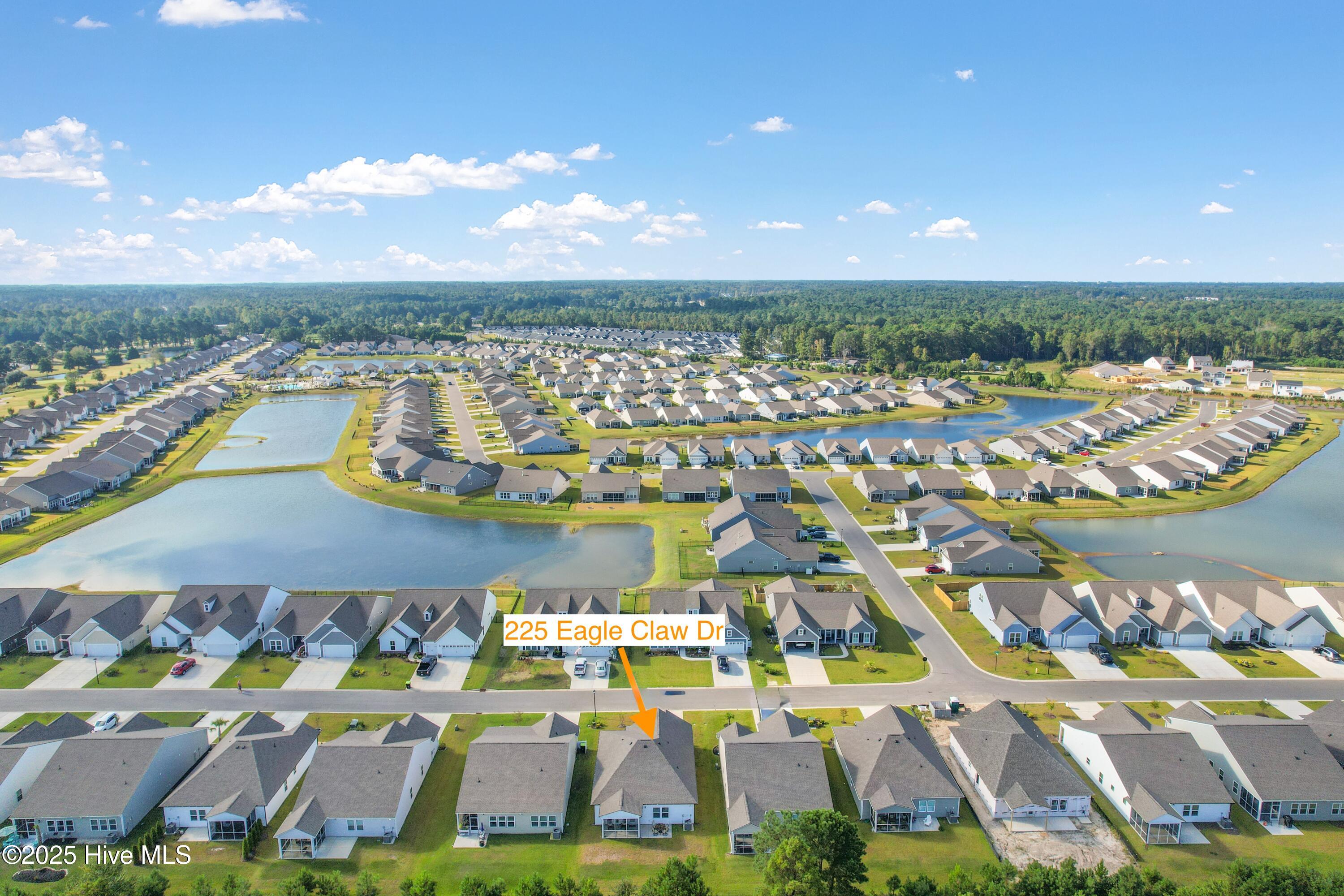 100532742 | Photo 37