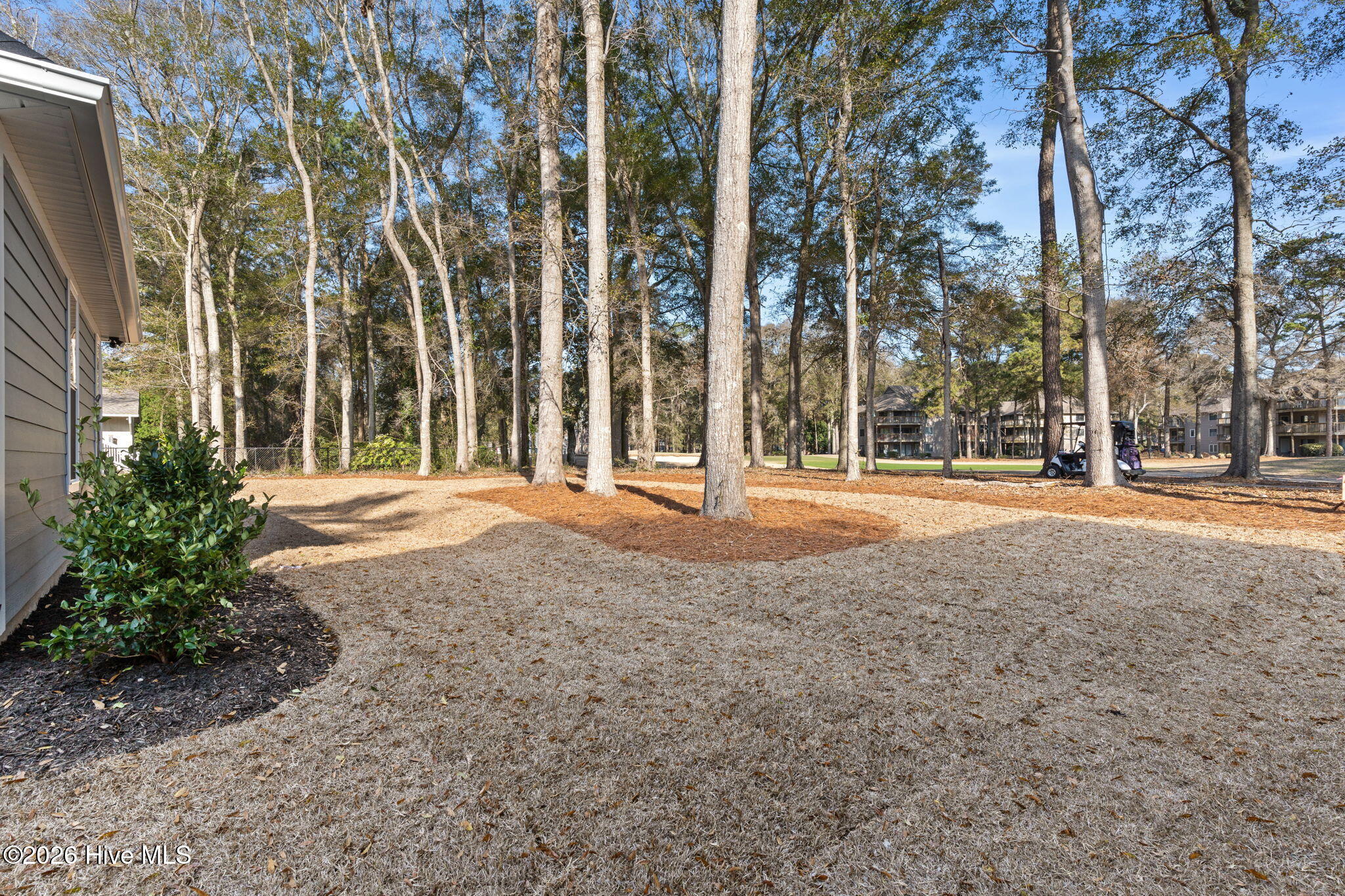 100558112 | Photo 48