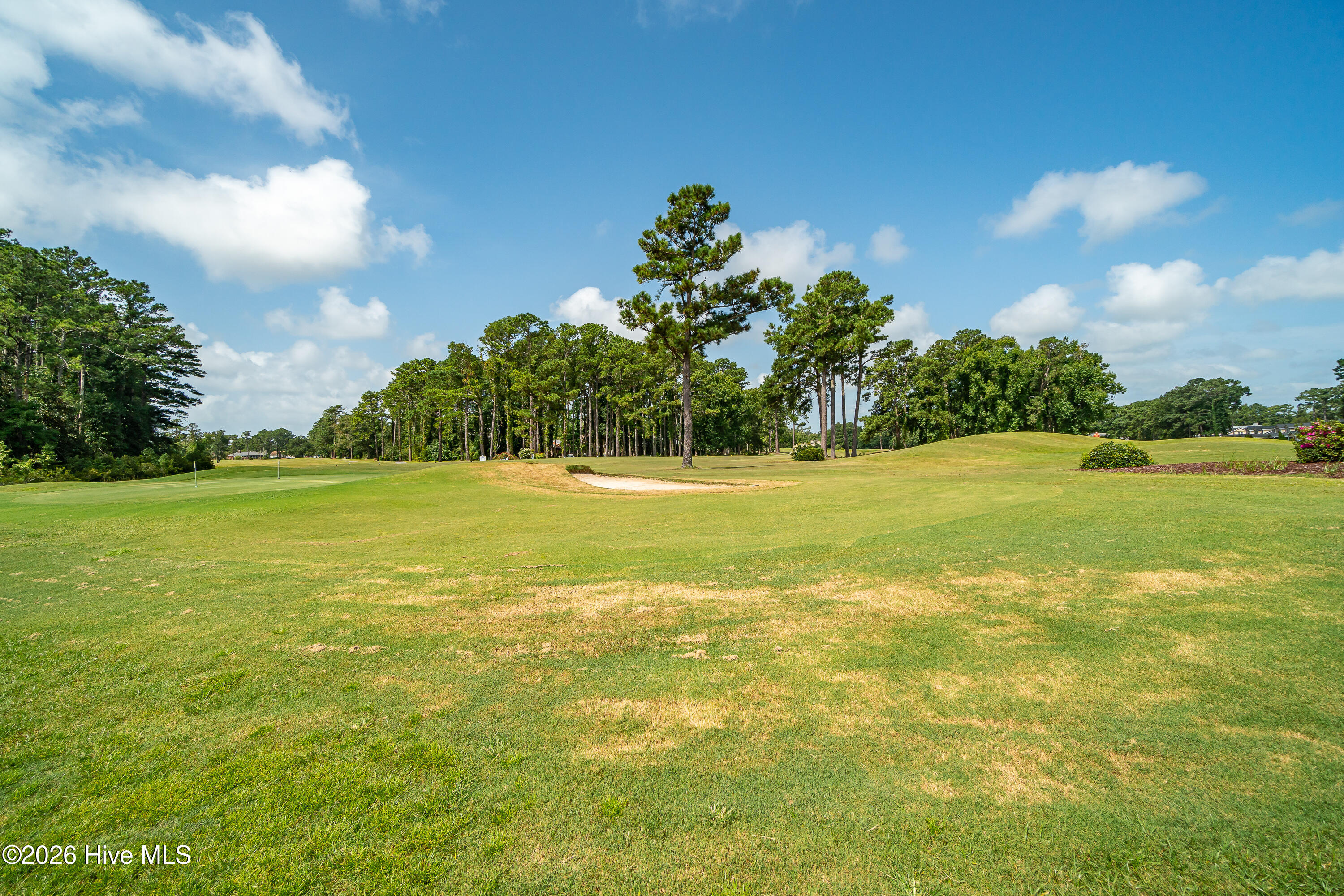 203 Brandywine Place Drive,Morehead City