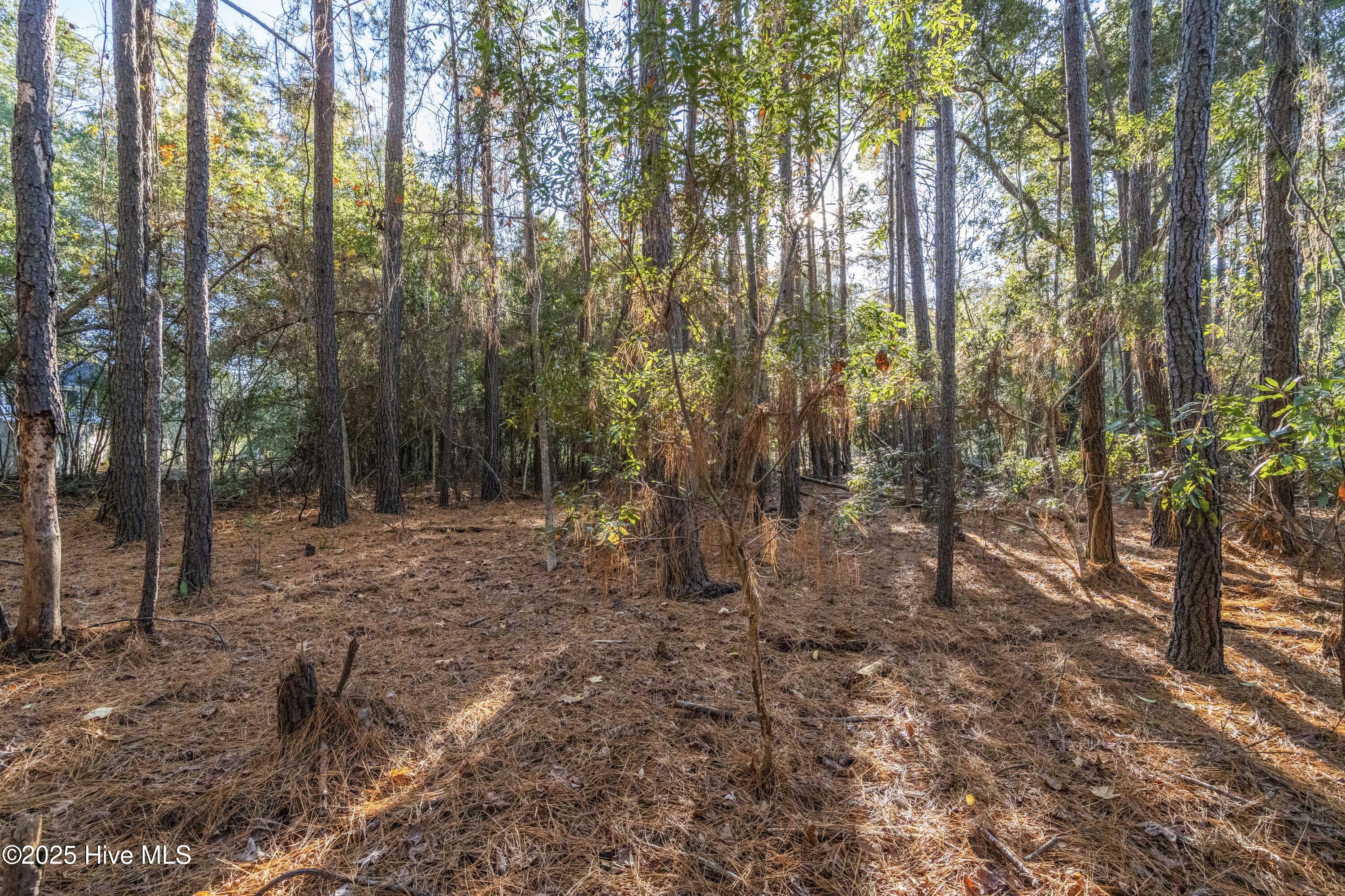 100545322 | Photo 14