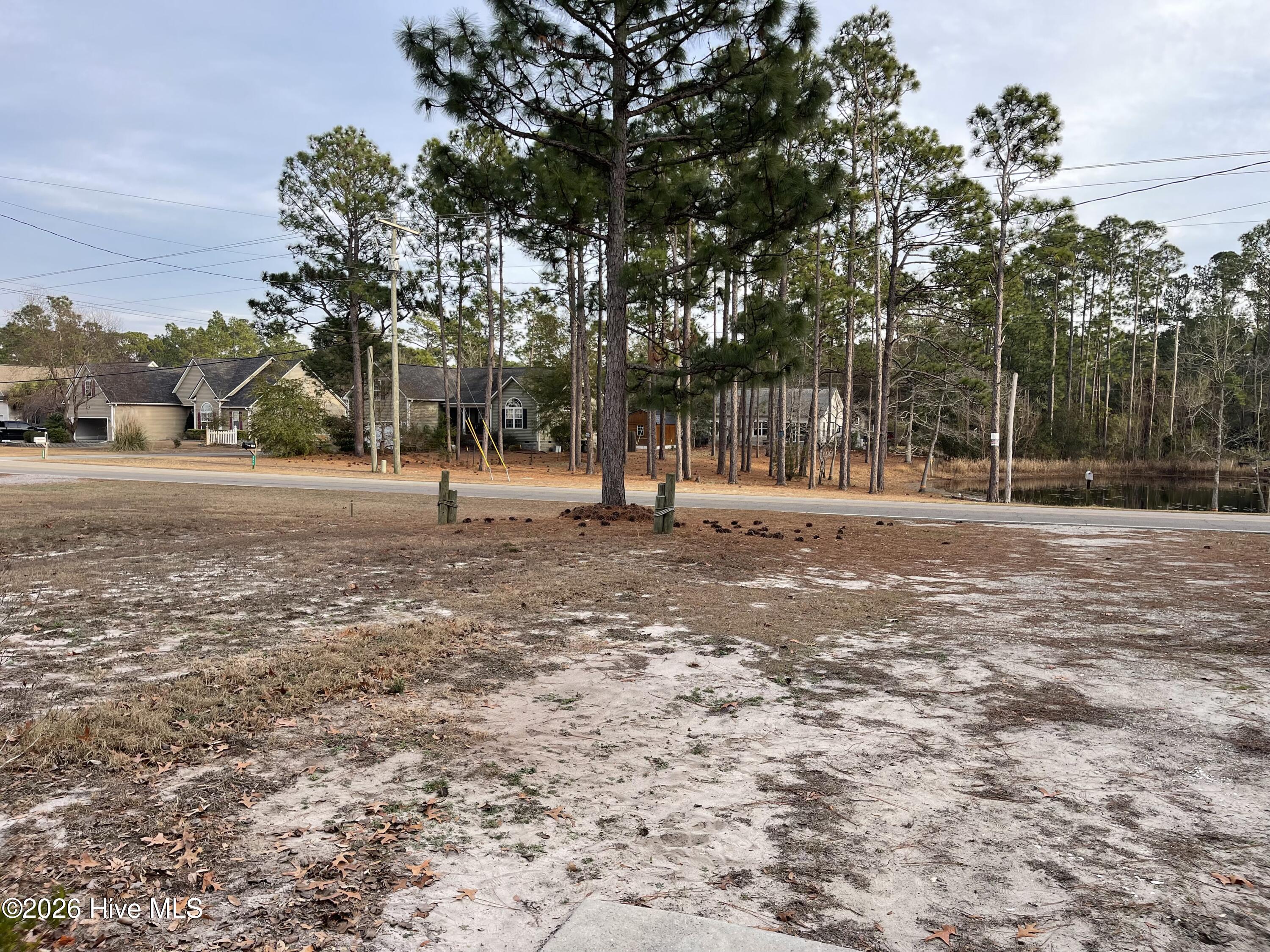 100548174 | Photo 31