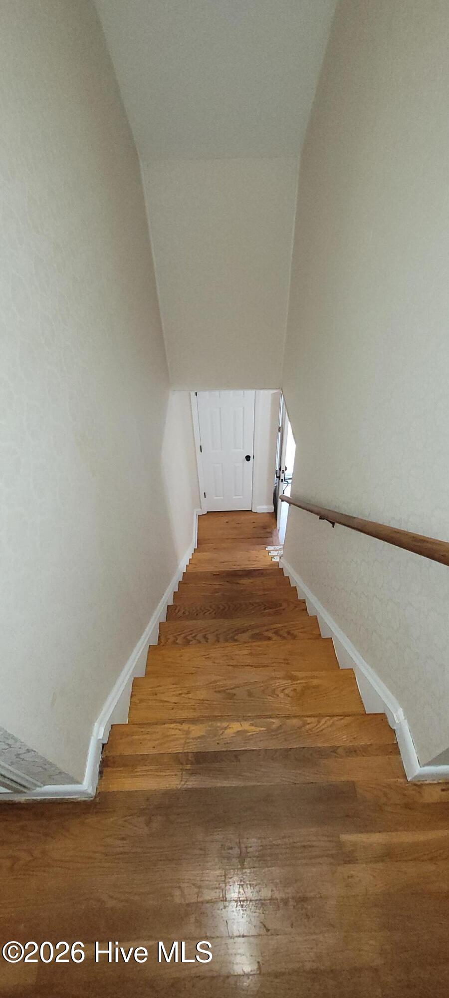 100551473 | Photo 41