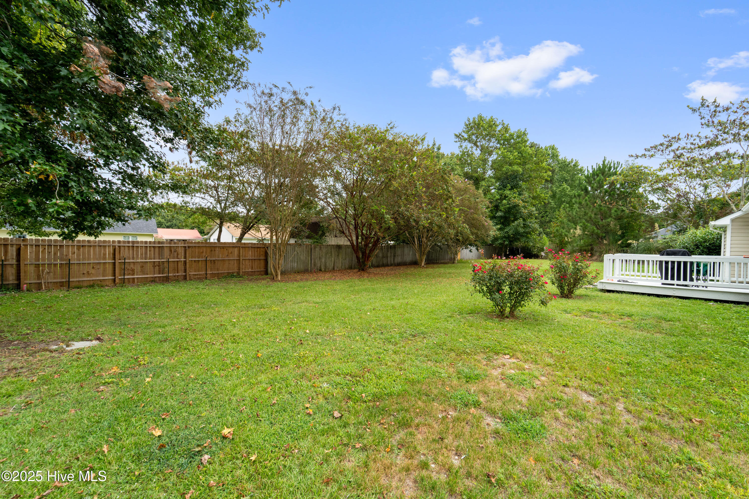 100530629 | Photo 16