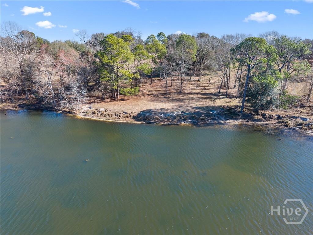 Homes for sale in Portal, GA | 2001 Tru Fail Xing, Portal, GA 30425 | MLS# SA347614