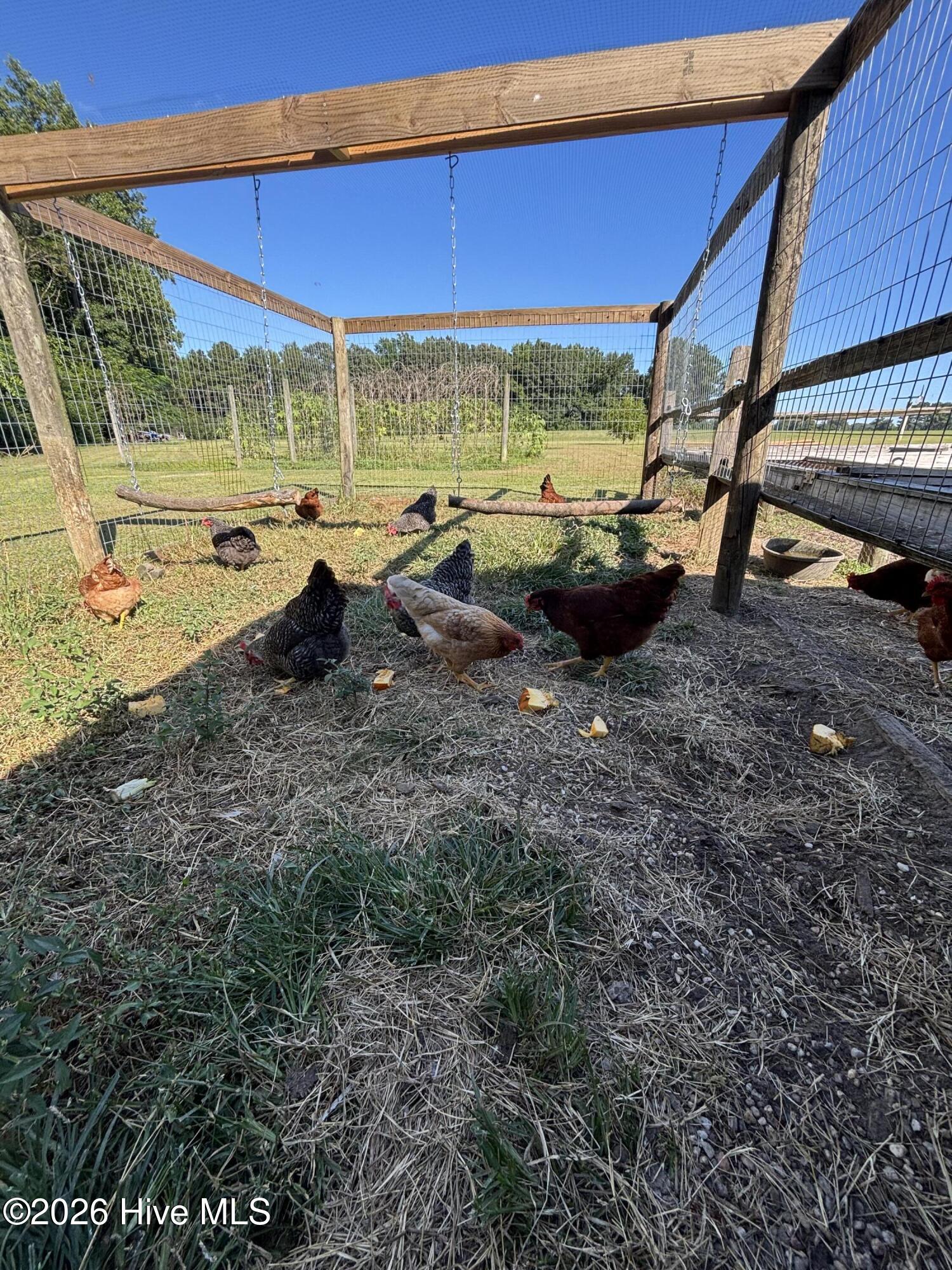 100556913 | Photo 63