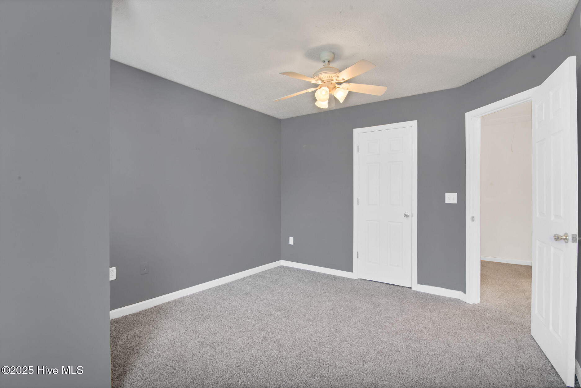 100536768 | Photo 23