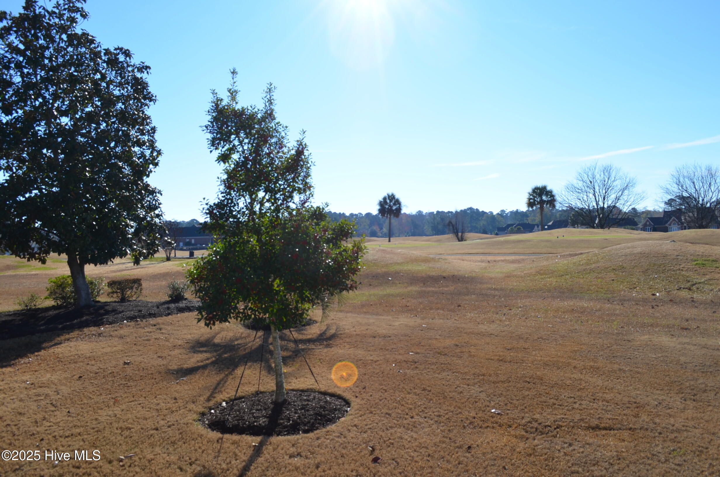 100545211 | Photo 53