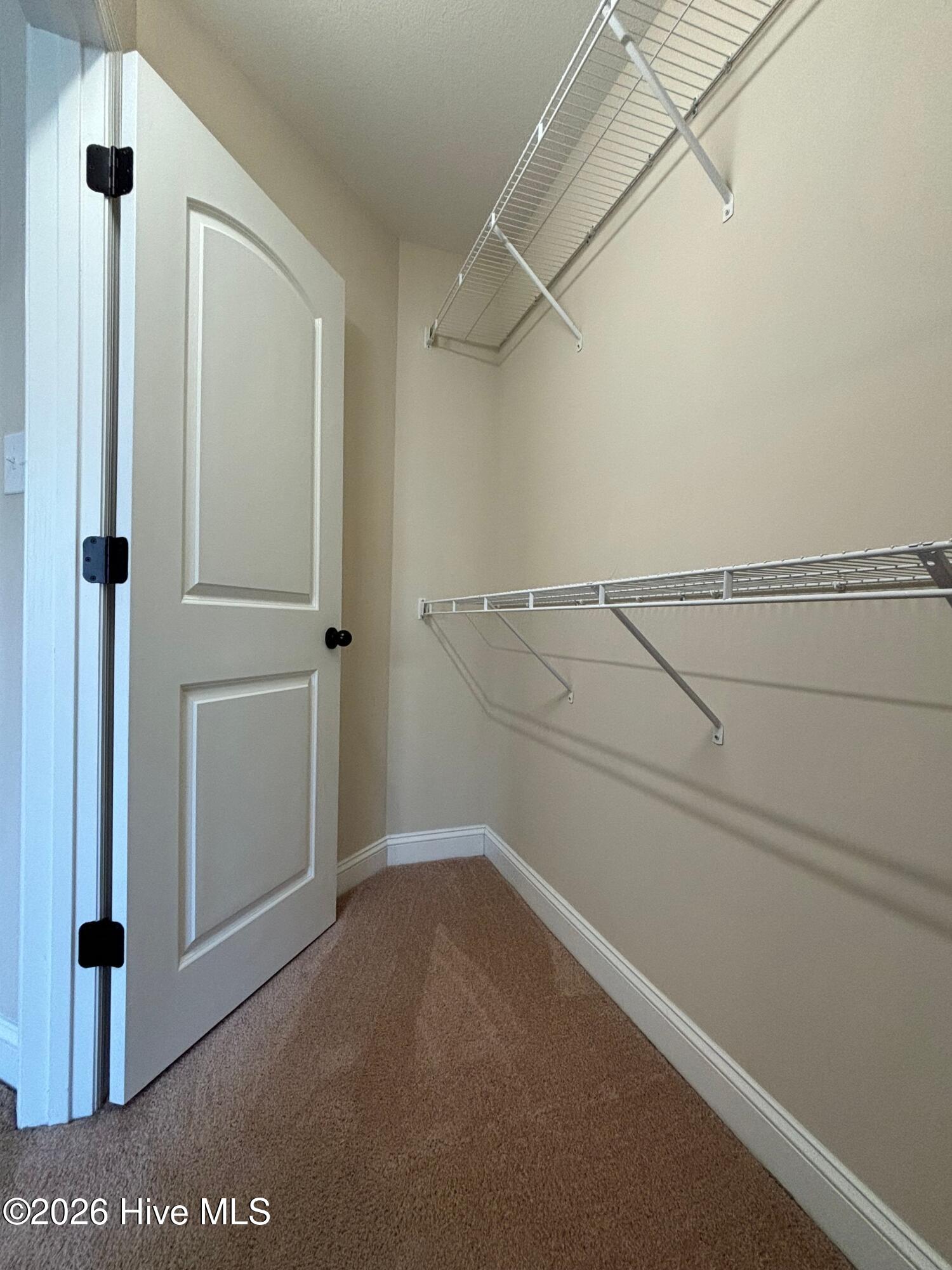 100557628 | Photo 24