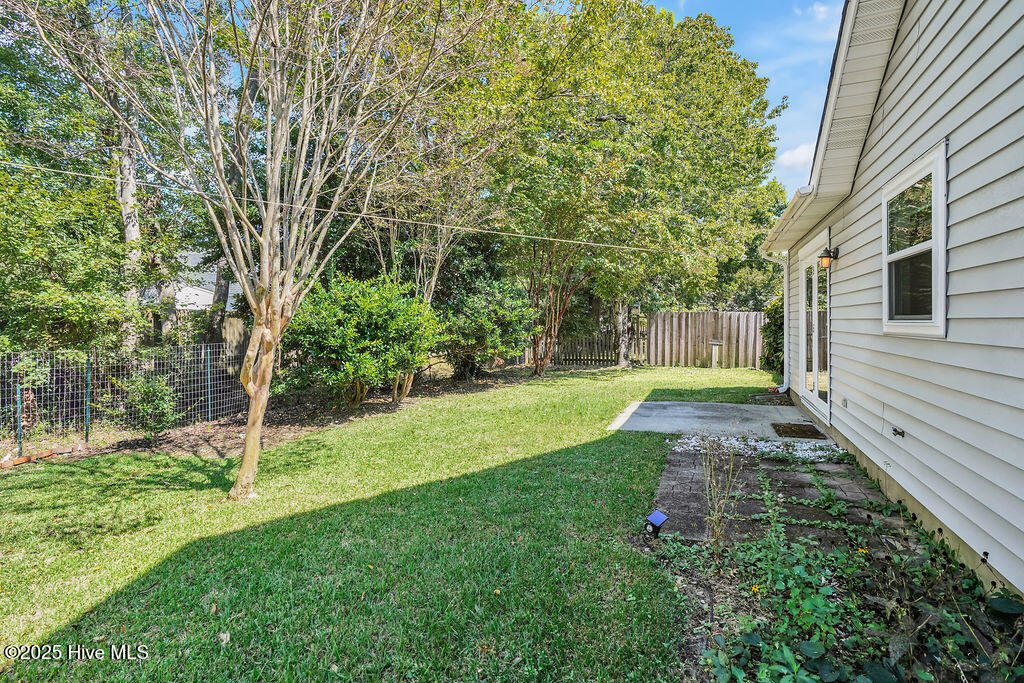 100533718 | Photo 26