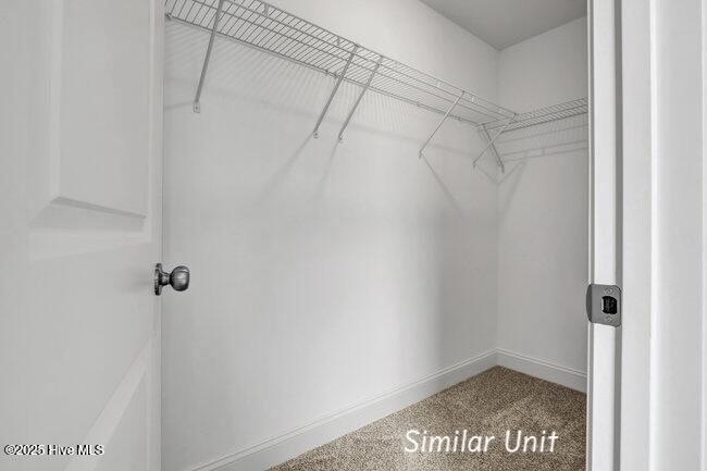 100542683 | Photo 28