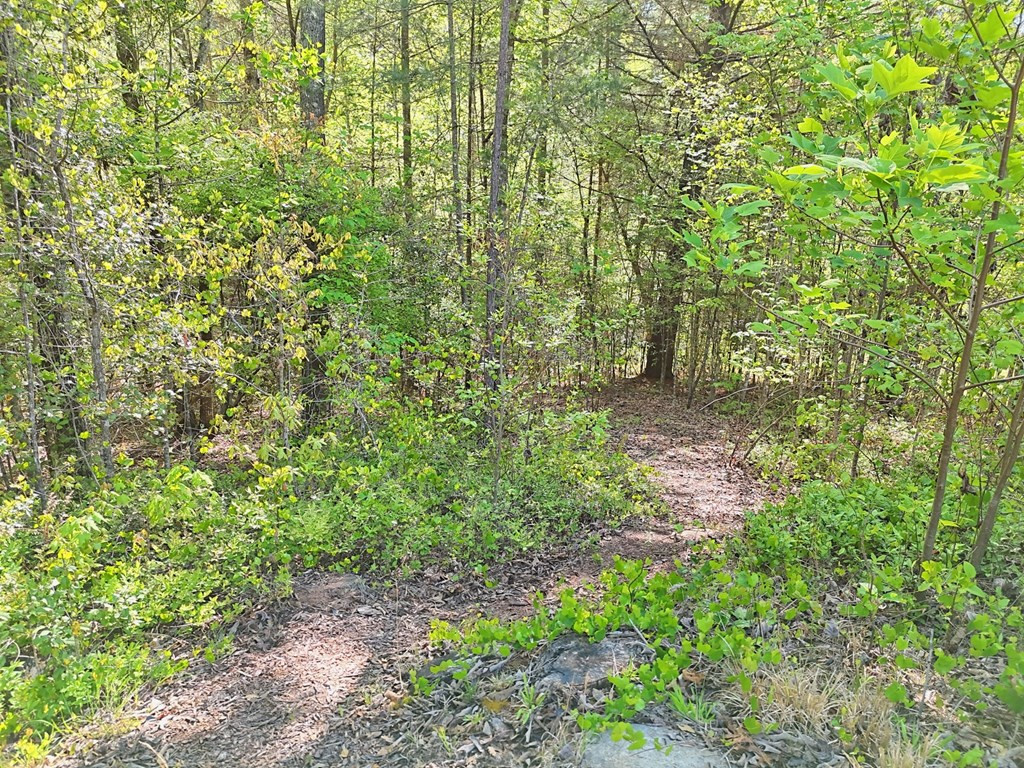 71 Leisure Time Lane, Murphy, NC 28906 Listing Photo  72