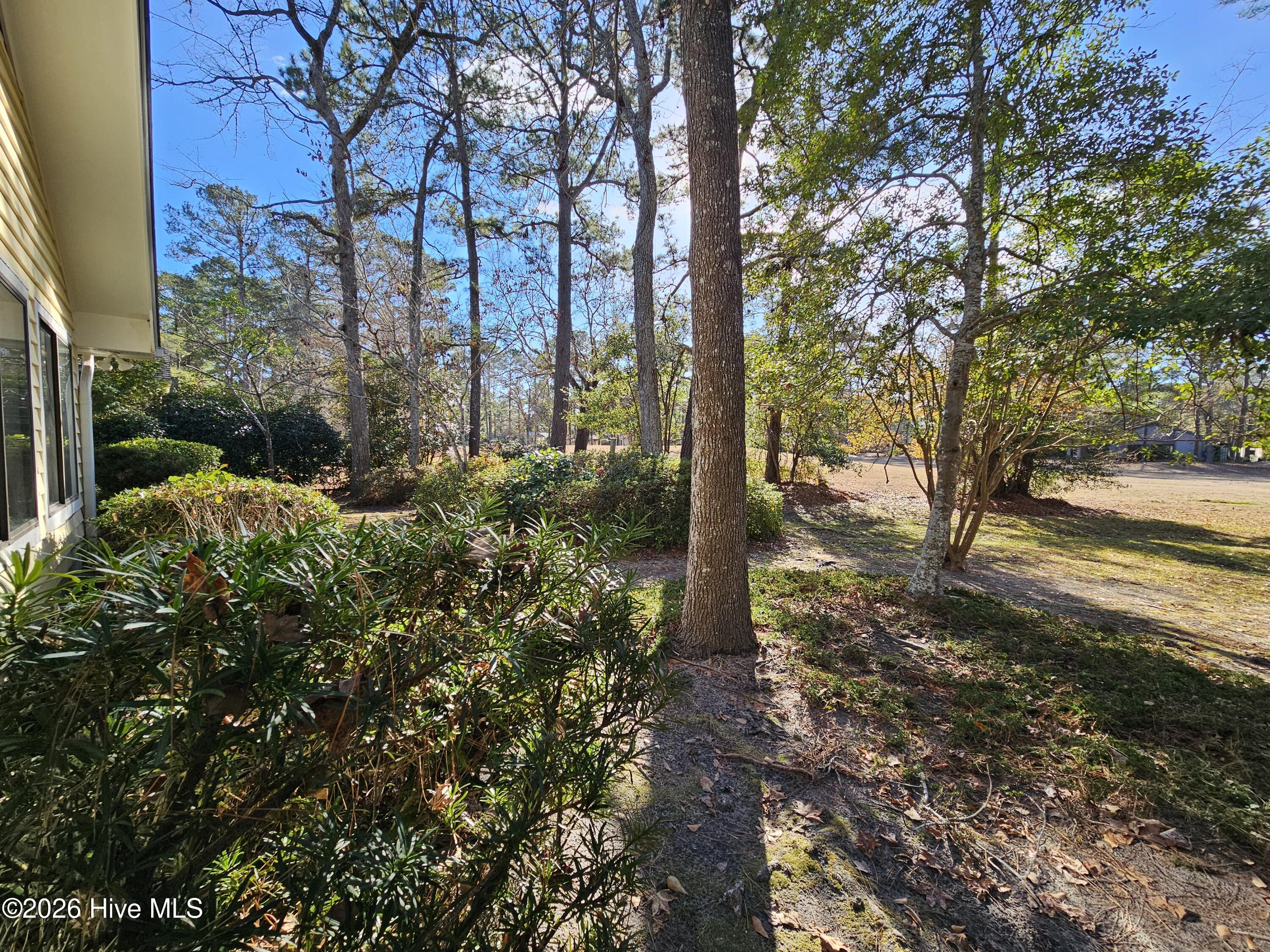 100547650 | Photo 39