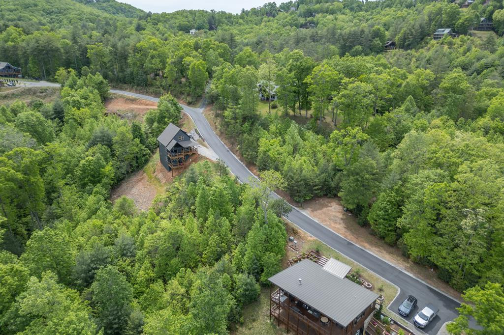455 Point Overlook Trail, Murphy, NC 28906 Listing Photo  49
