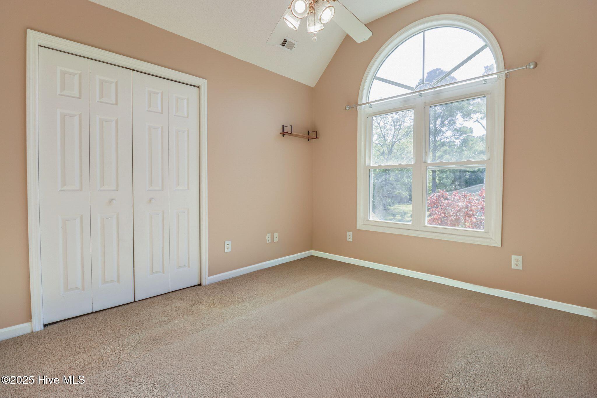 100541219 | Photo 11