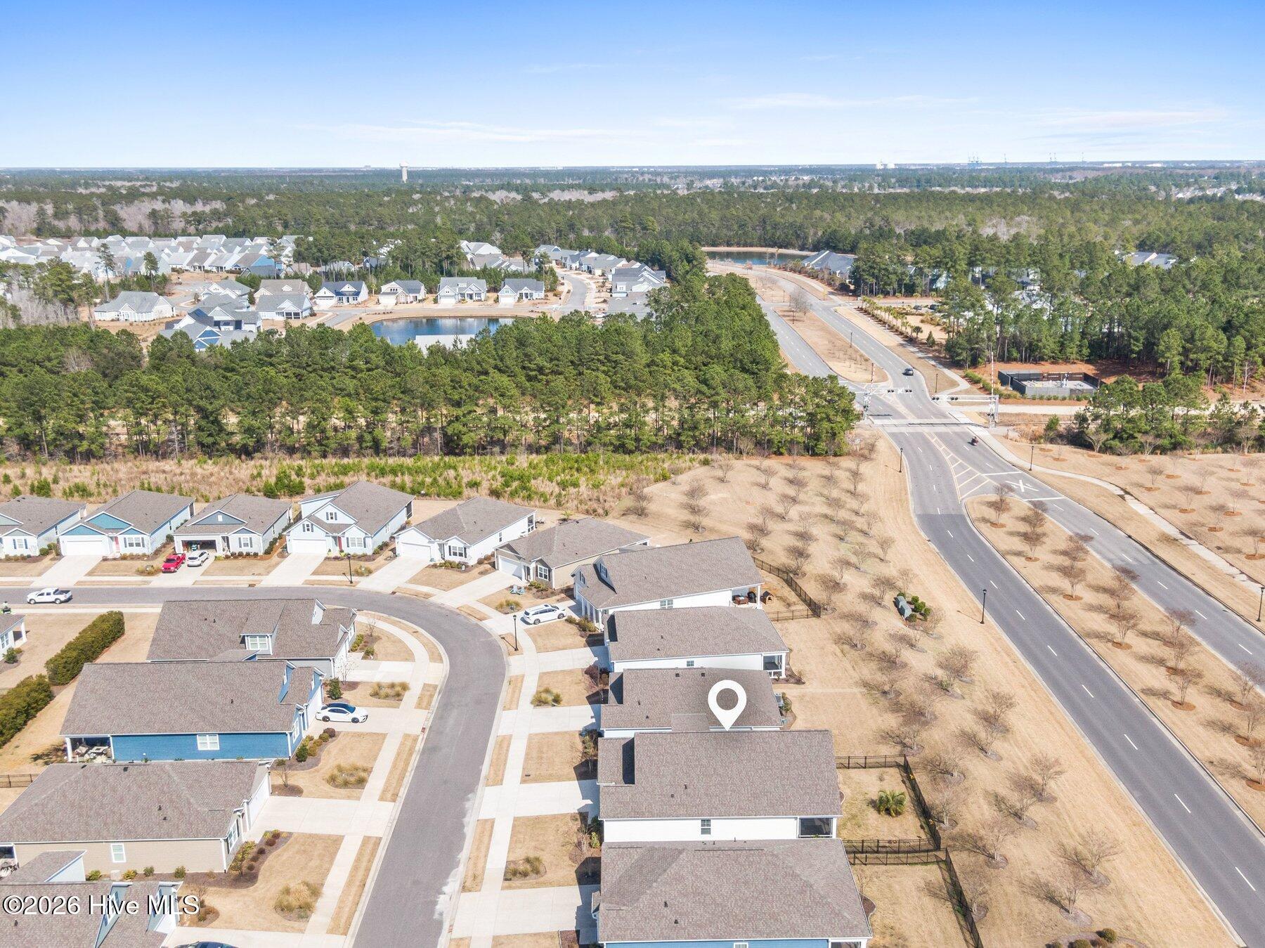 100558018 | Photo 33