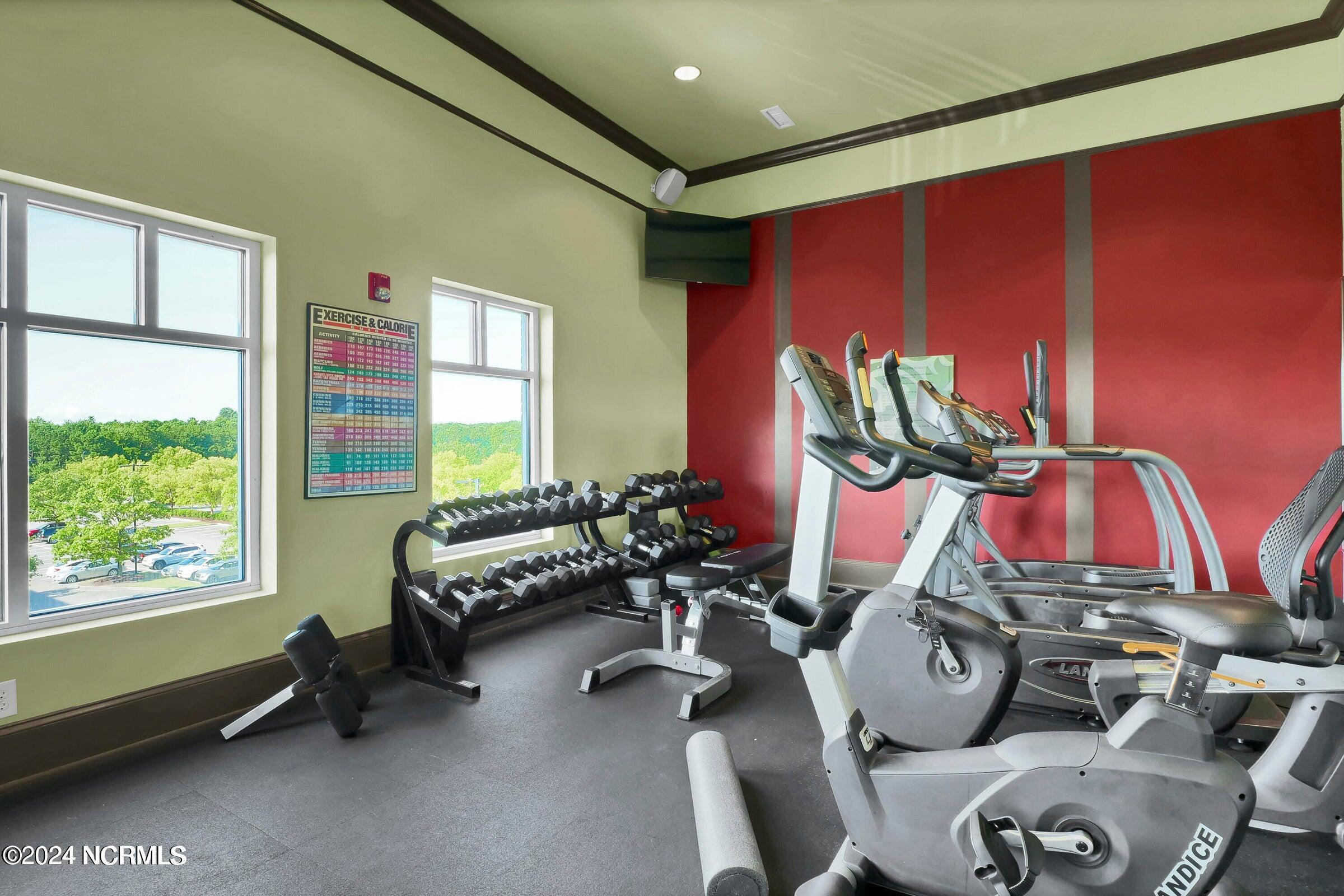 100537337 | Photo 48