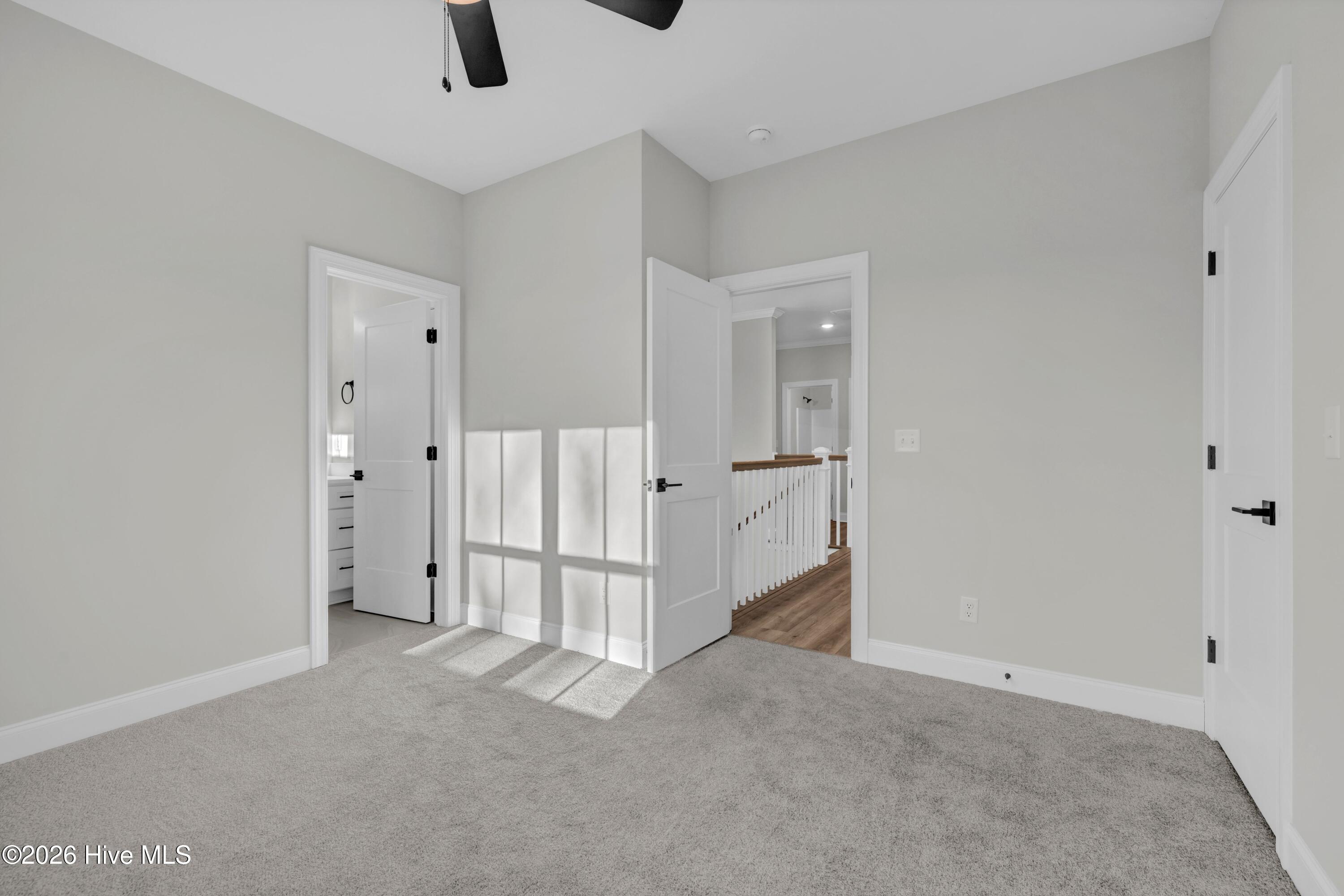 100551987 | Photo 31