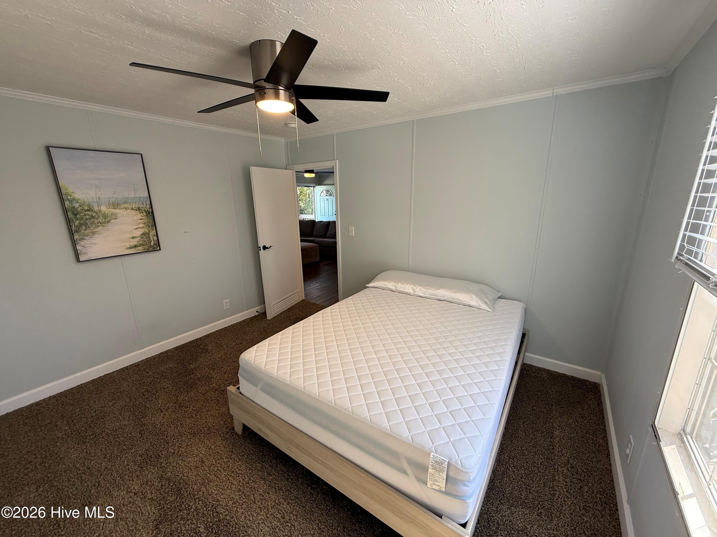 100555141 | Photo 13