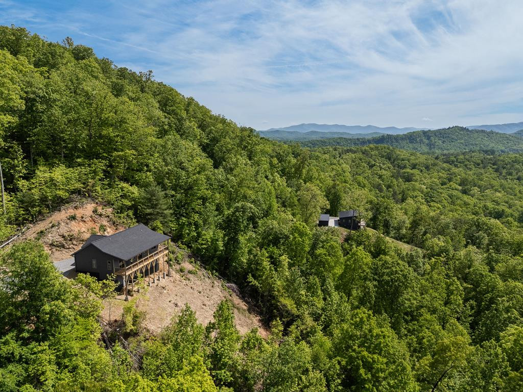 590 Spring Branch Drive, Marble, NC 28905 Listing Photo  54
