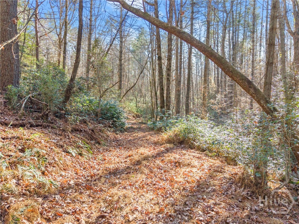 Shoal Creek Tract Habersham County
