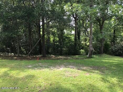Winding River Plantation Land for Sale