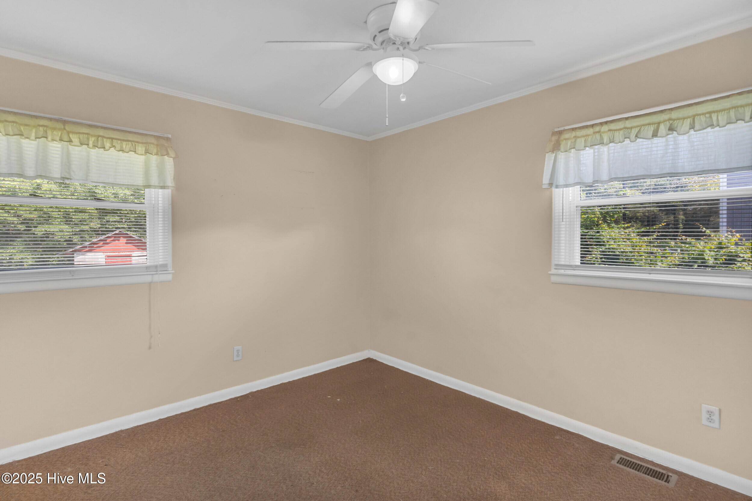 100526914 | Photo 10