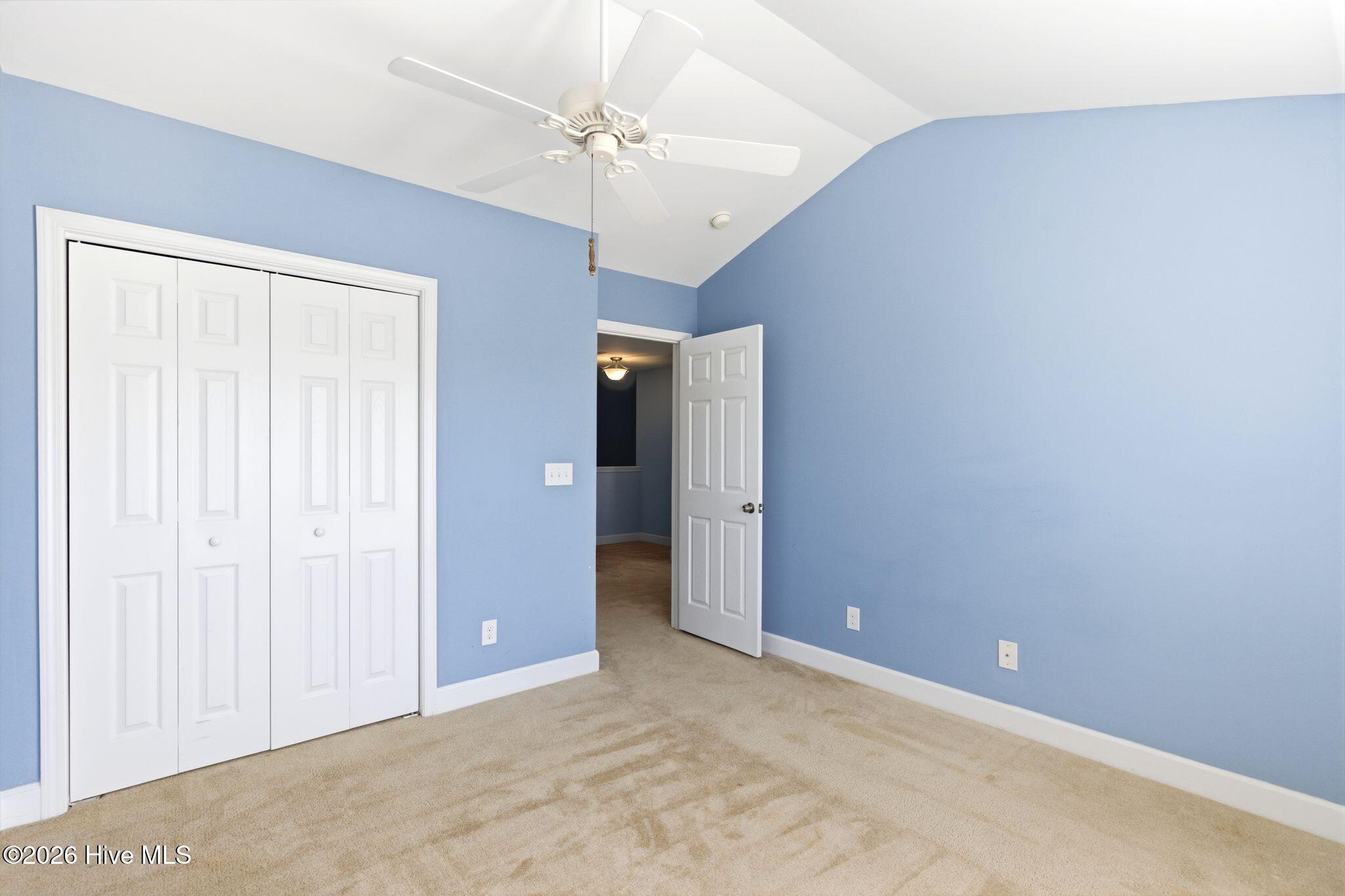 100564398 | Photo 26