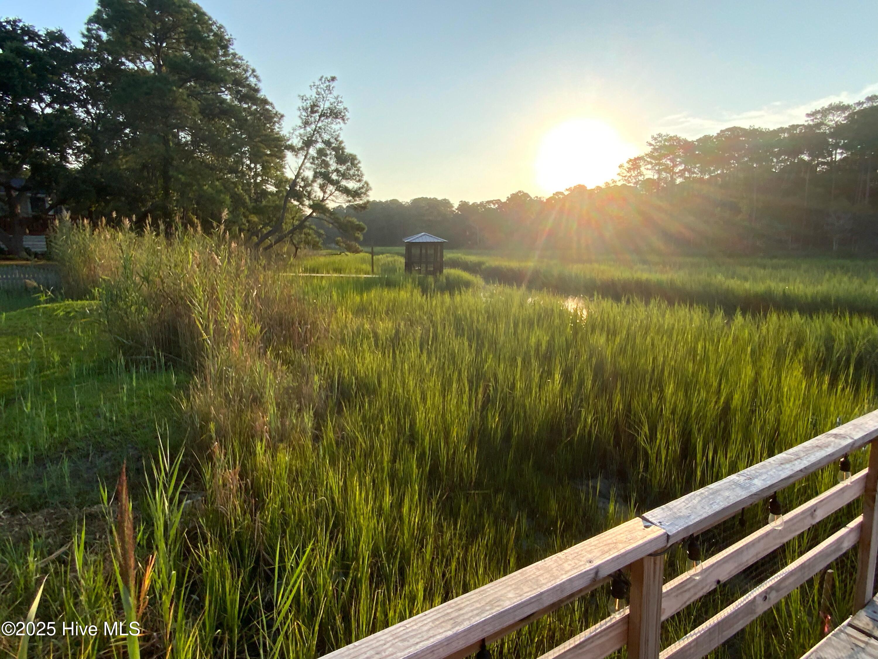 100497695 | Photo 50