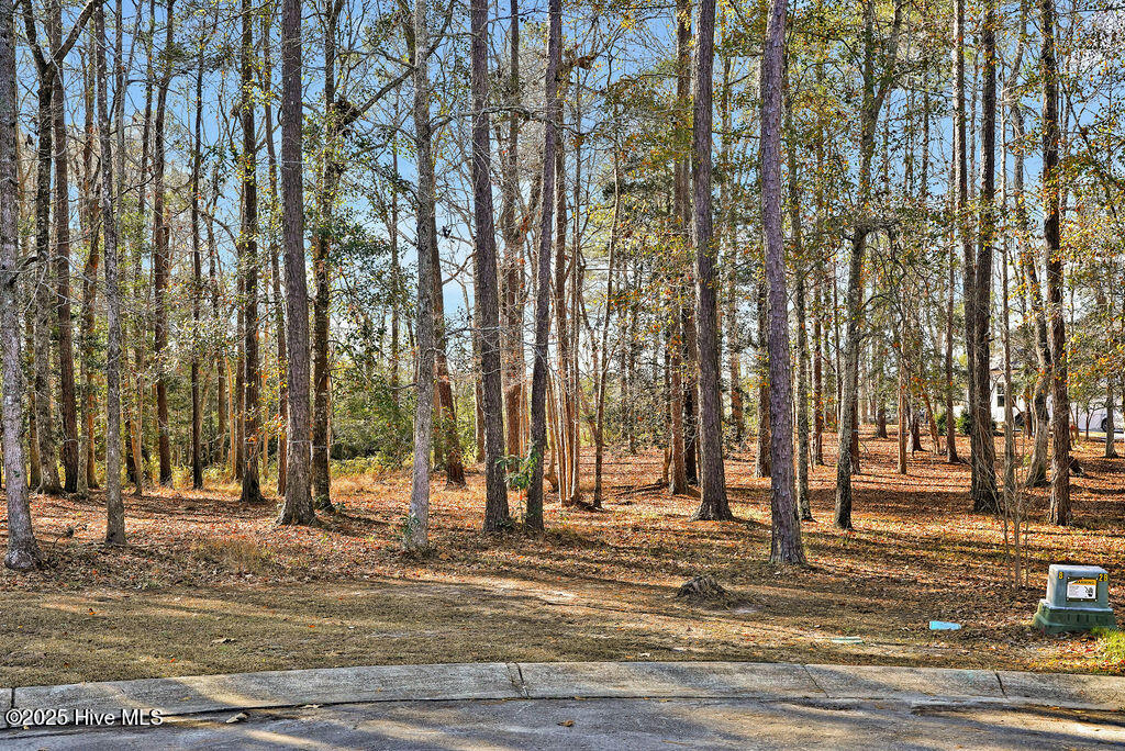 100482094 | Photo 13