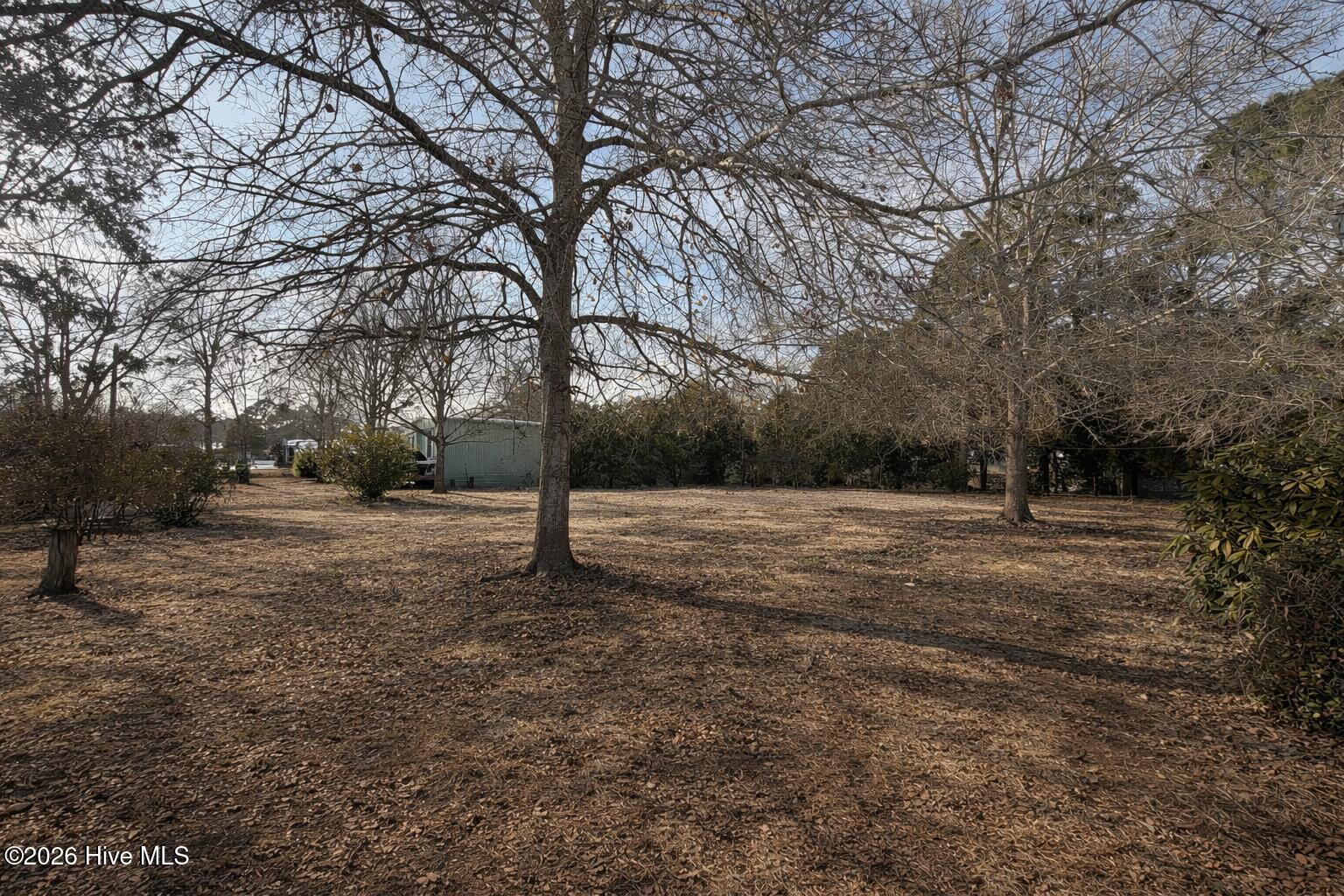 100553118 | Photo 22