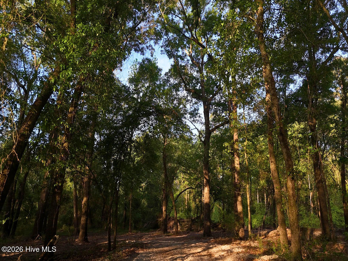 0 Durwood Evans Road, Beulaville, NC, 28518