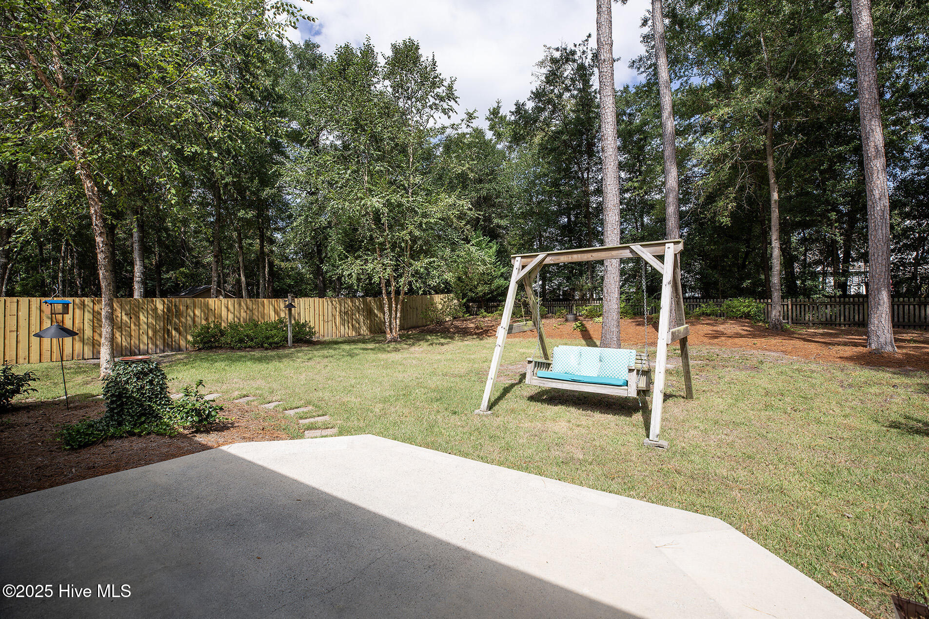 100558223 | Photo 49