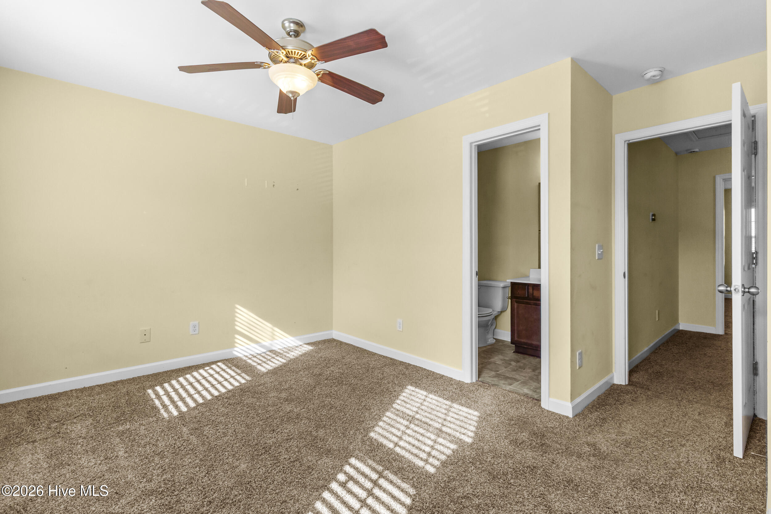 100557945 | Photo 18