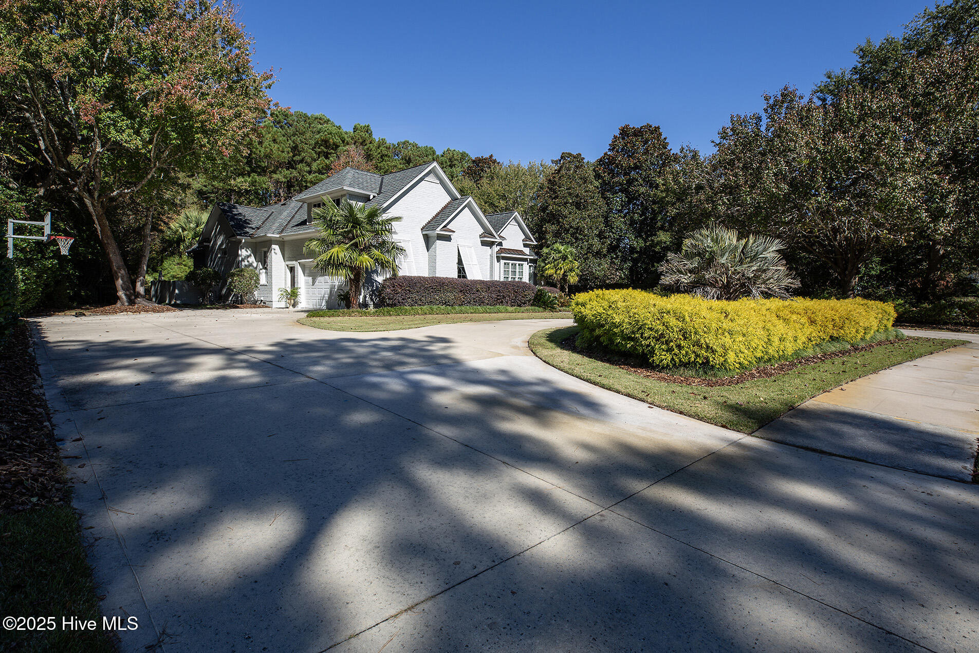 100541349 | Photo 65