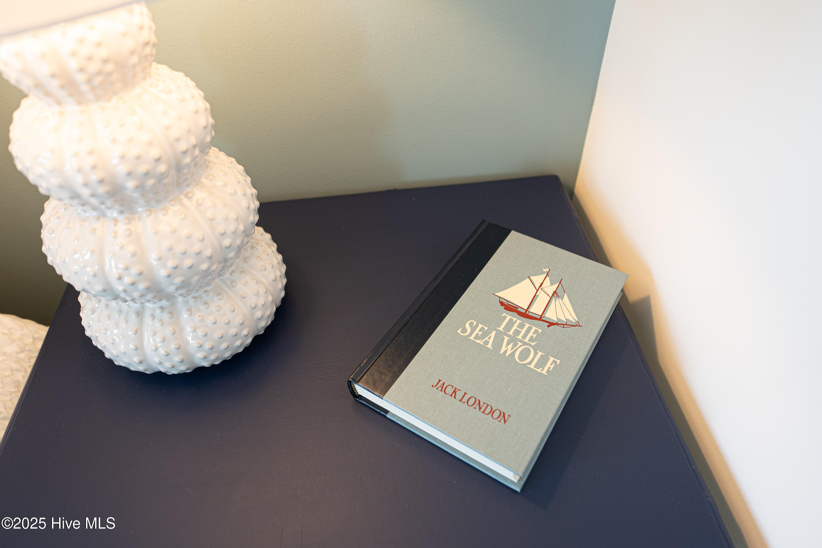 100531828 | Photo 26