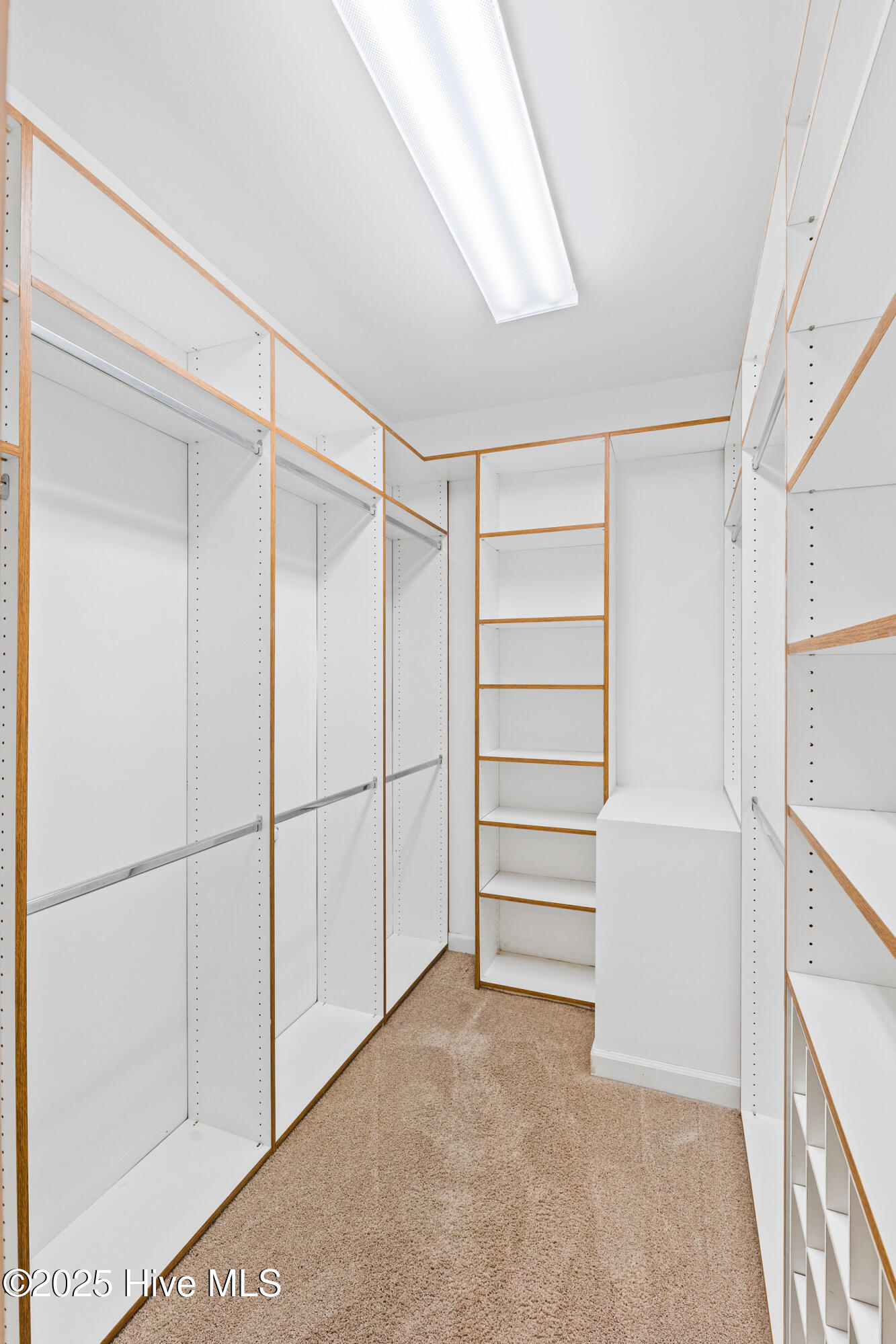 100519162 | Photo 28