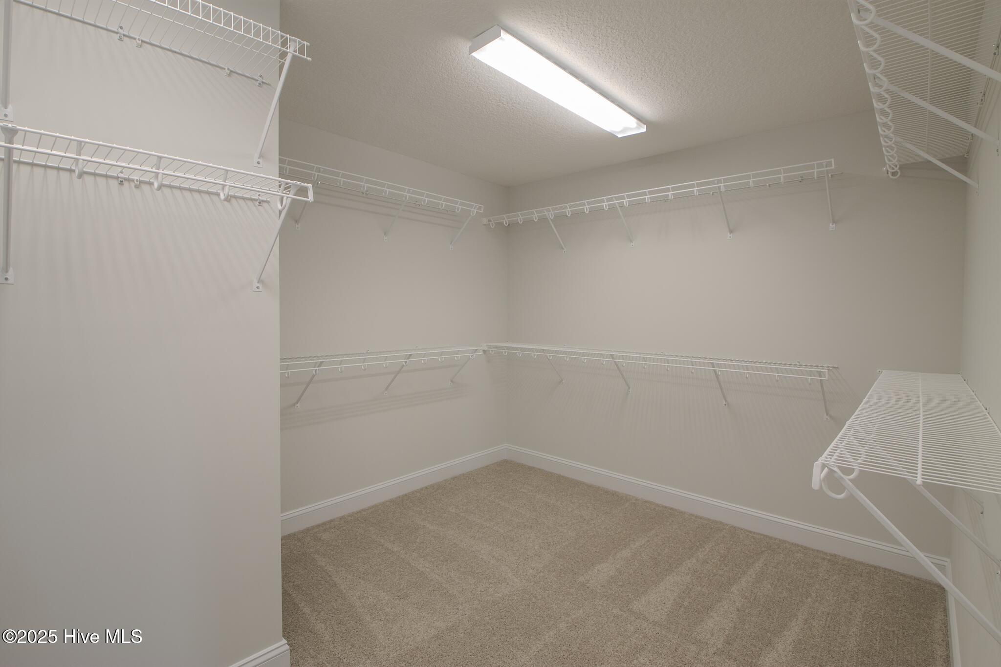 100509462 | Photo 31