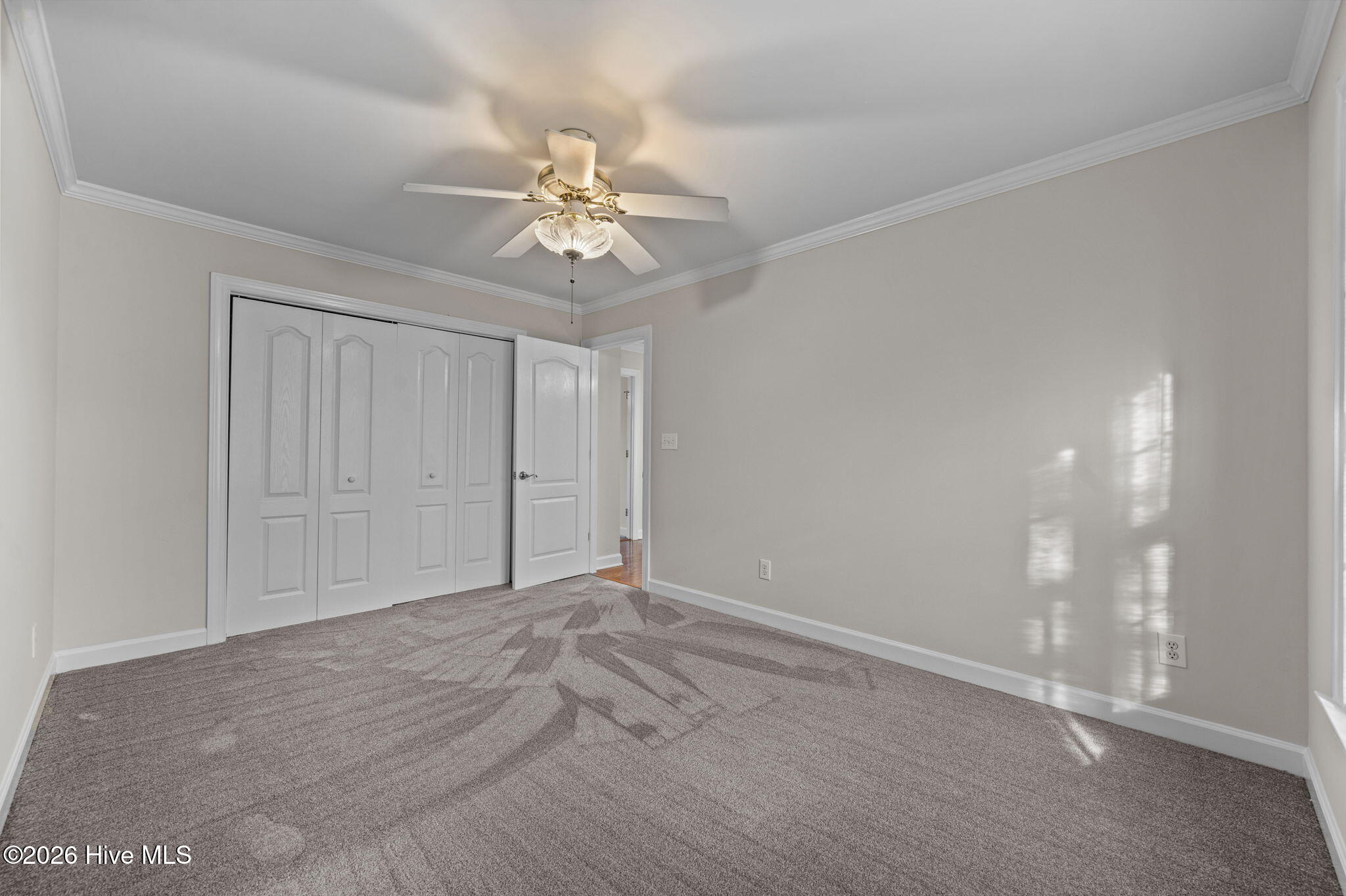 100542324 | Photo 50