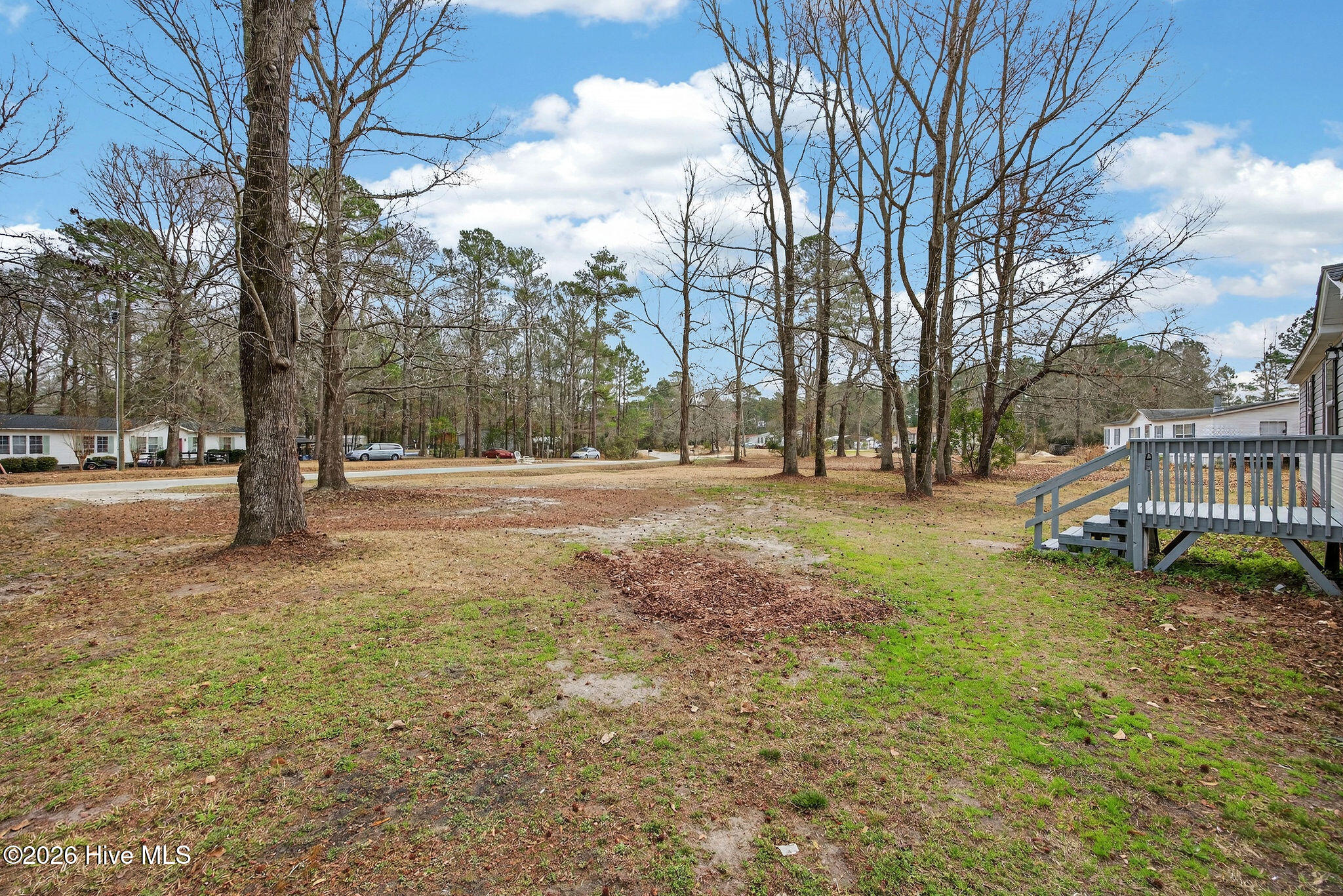 100556800 | Photo 31