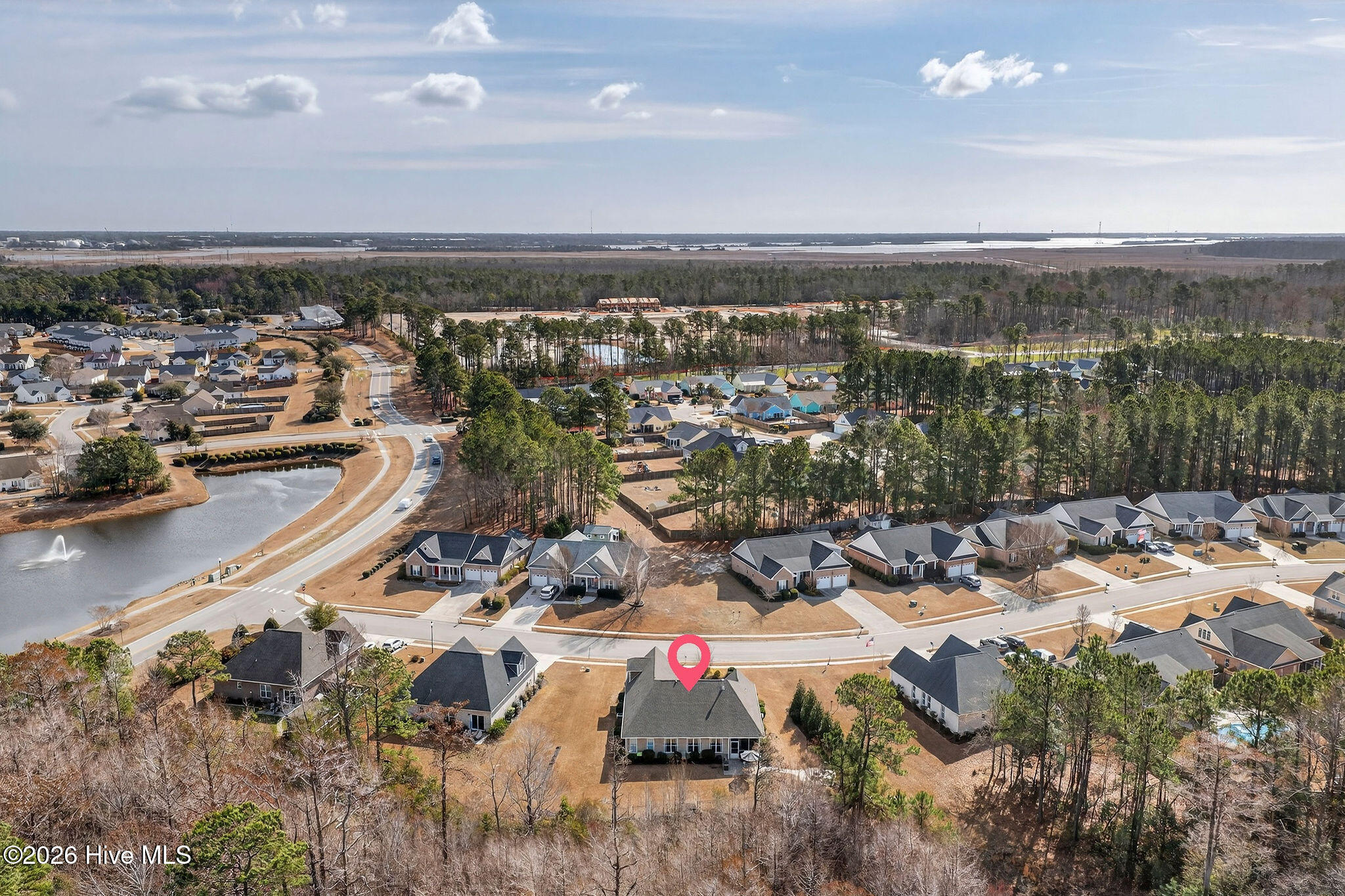 100558265 | Photo 63