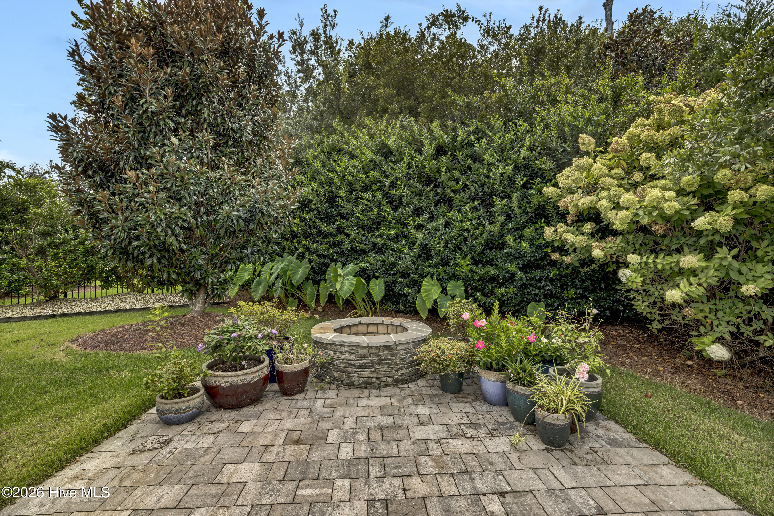 100555264 | Photo 44