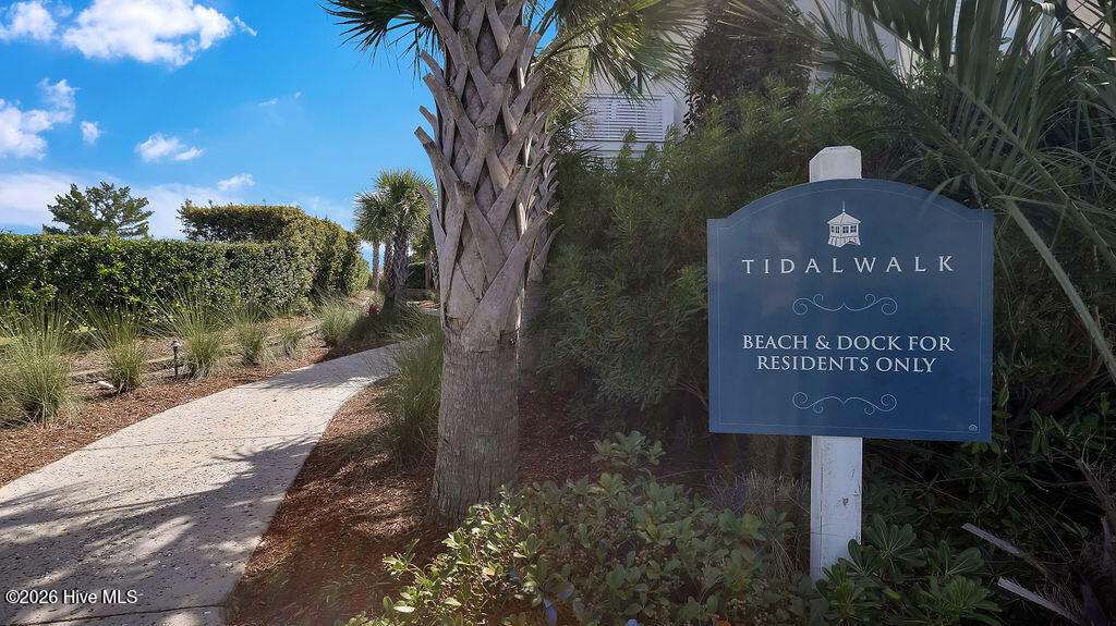 100564956 | Photo 86