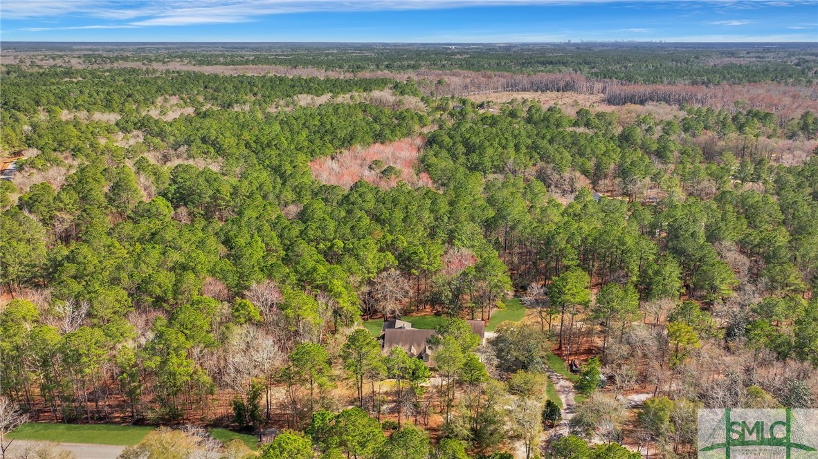 430 Squirrel Run, Rincon, GA 31326 Listing Photo  49