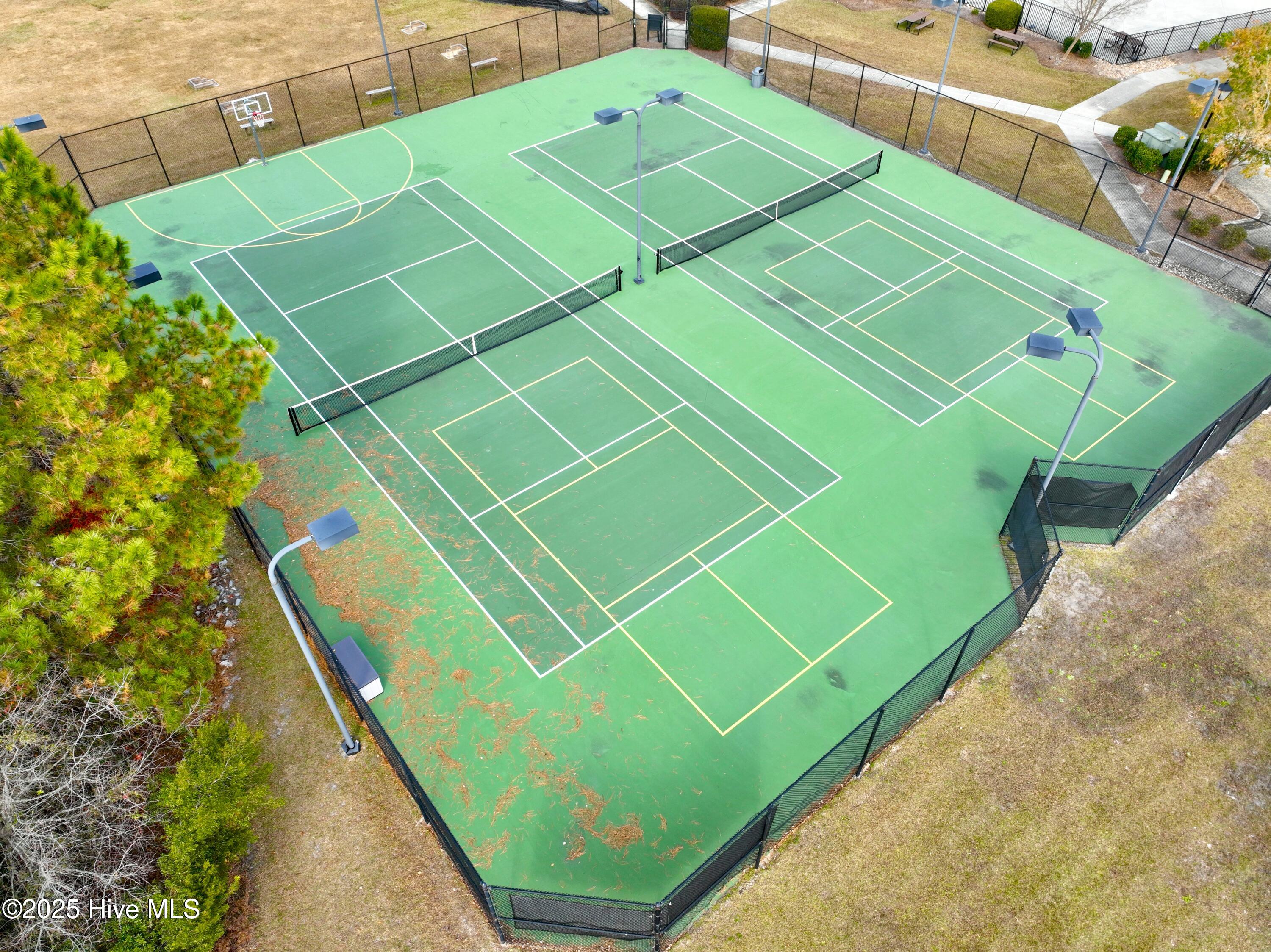 100541637 | Photo 65