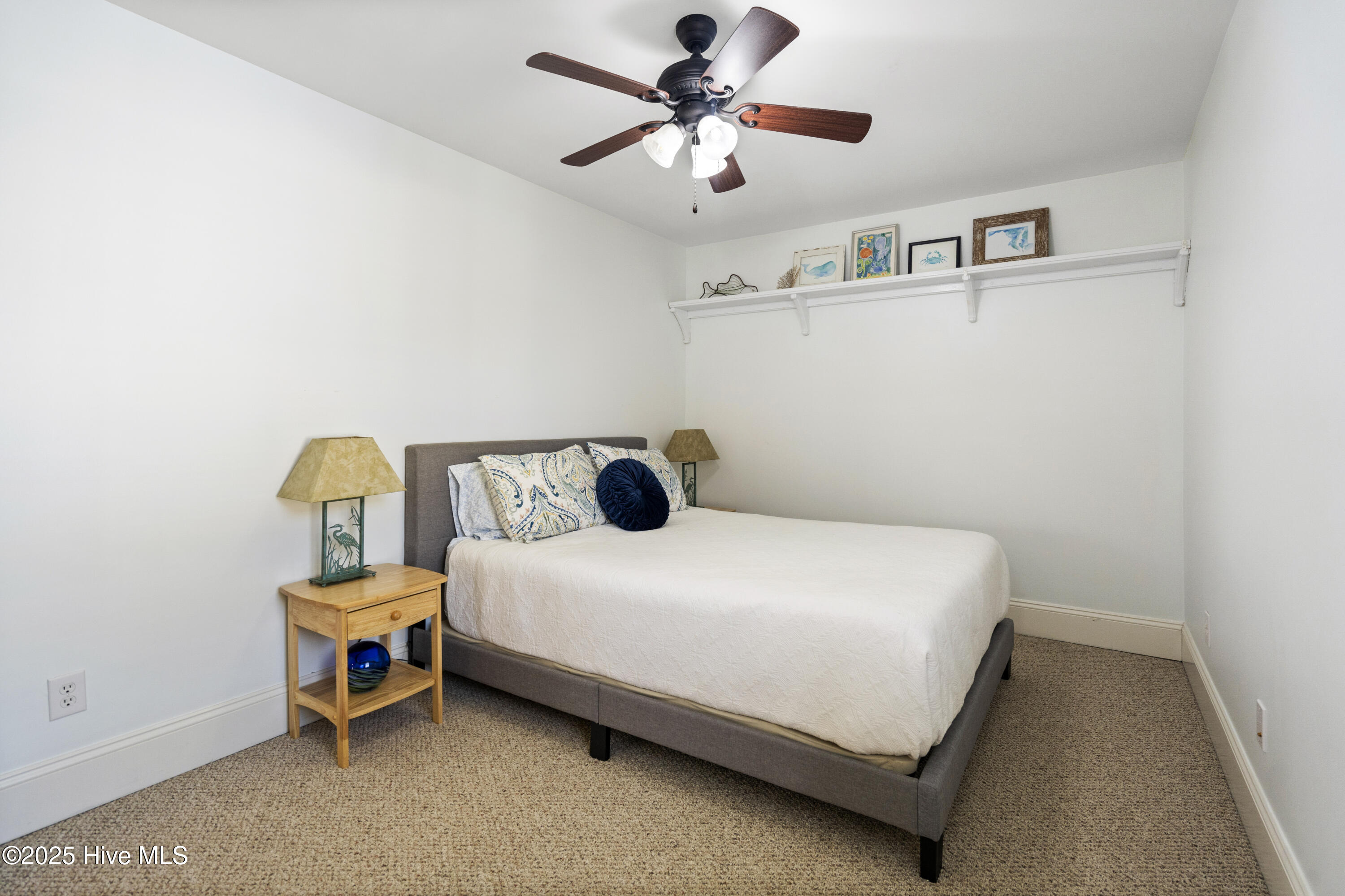 100545789 | Photo 30